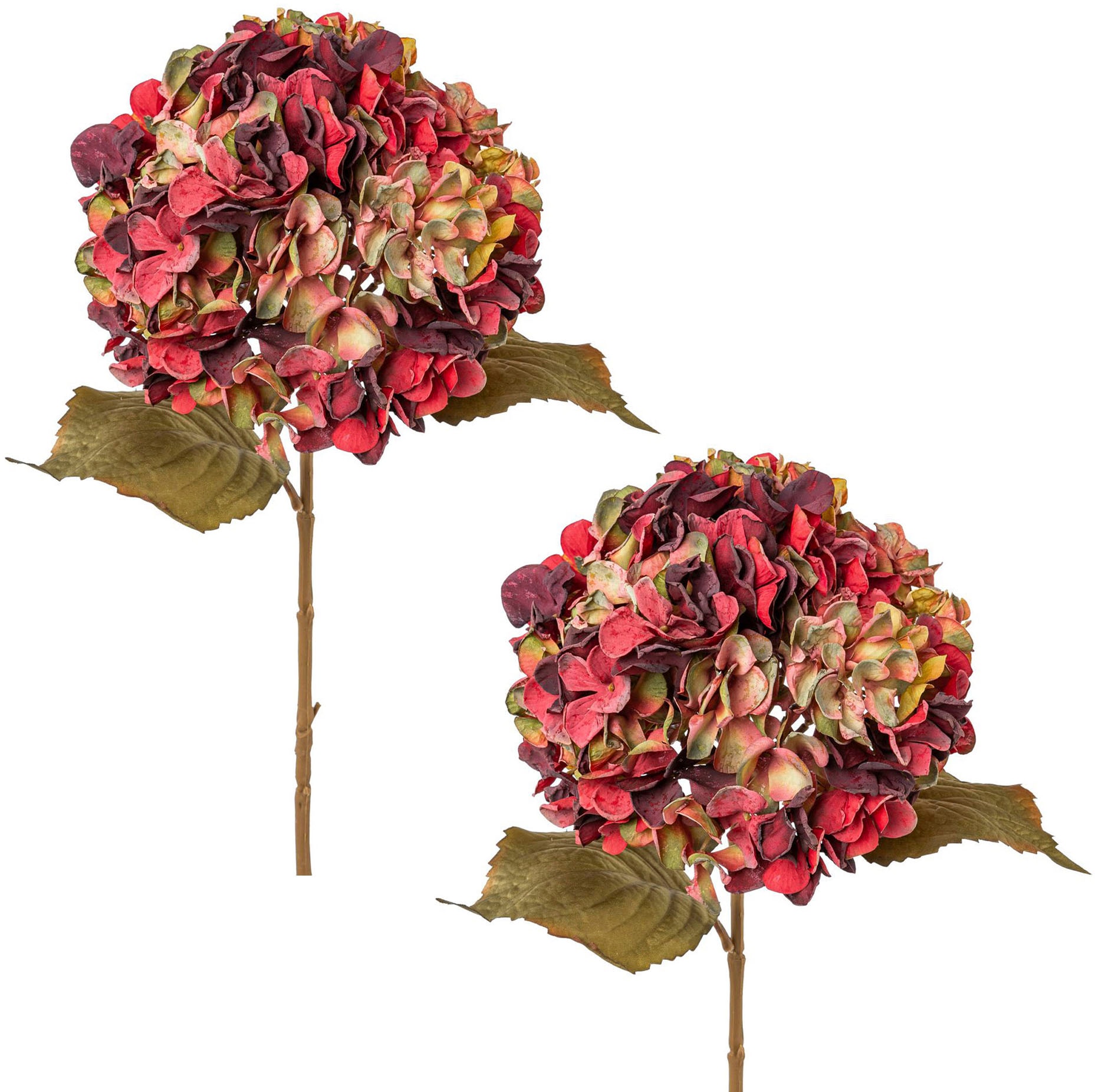 Botanic-Haus Kunstblume »Mohnblume im Glas« online kaufen | Jelmoli-Versand