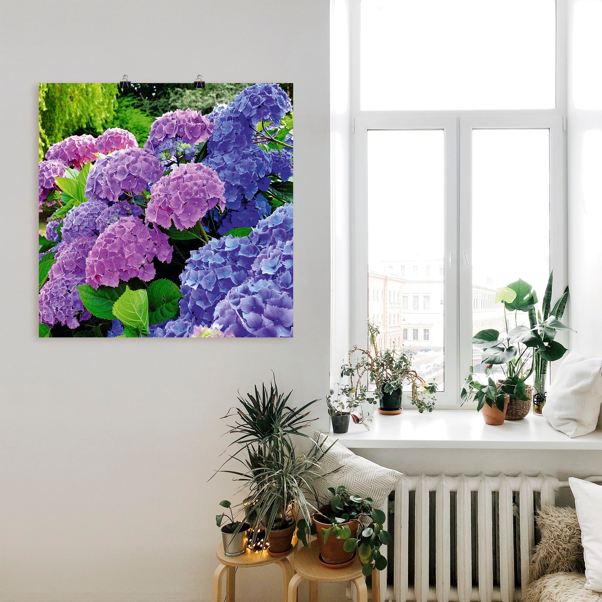 Blumen, | »Hortensien (1 im Jelmoli-Versand Wandbild Wandaufkleber Alubild, Poster Leinwandbild, in St.), als Garten«, Artland Grössen oder versch. bestellen online