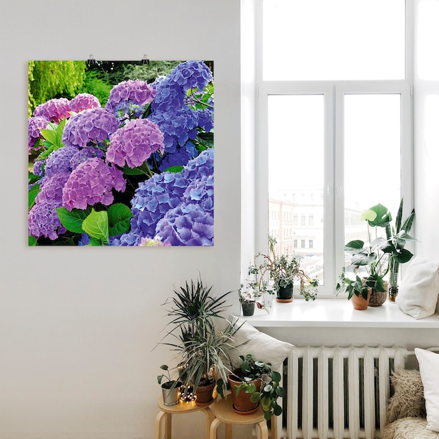 Artland Wandbild »Hortensien im Garten«, Blumen, (1 St.), als Alubild,  Leinwandbild, Wandaufkleber oder Poster in versch. Grössen online bestellen  | Jelmoli-Versand