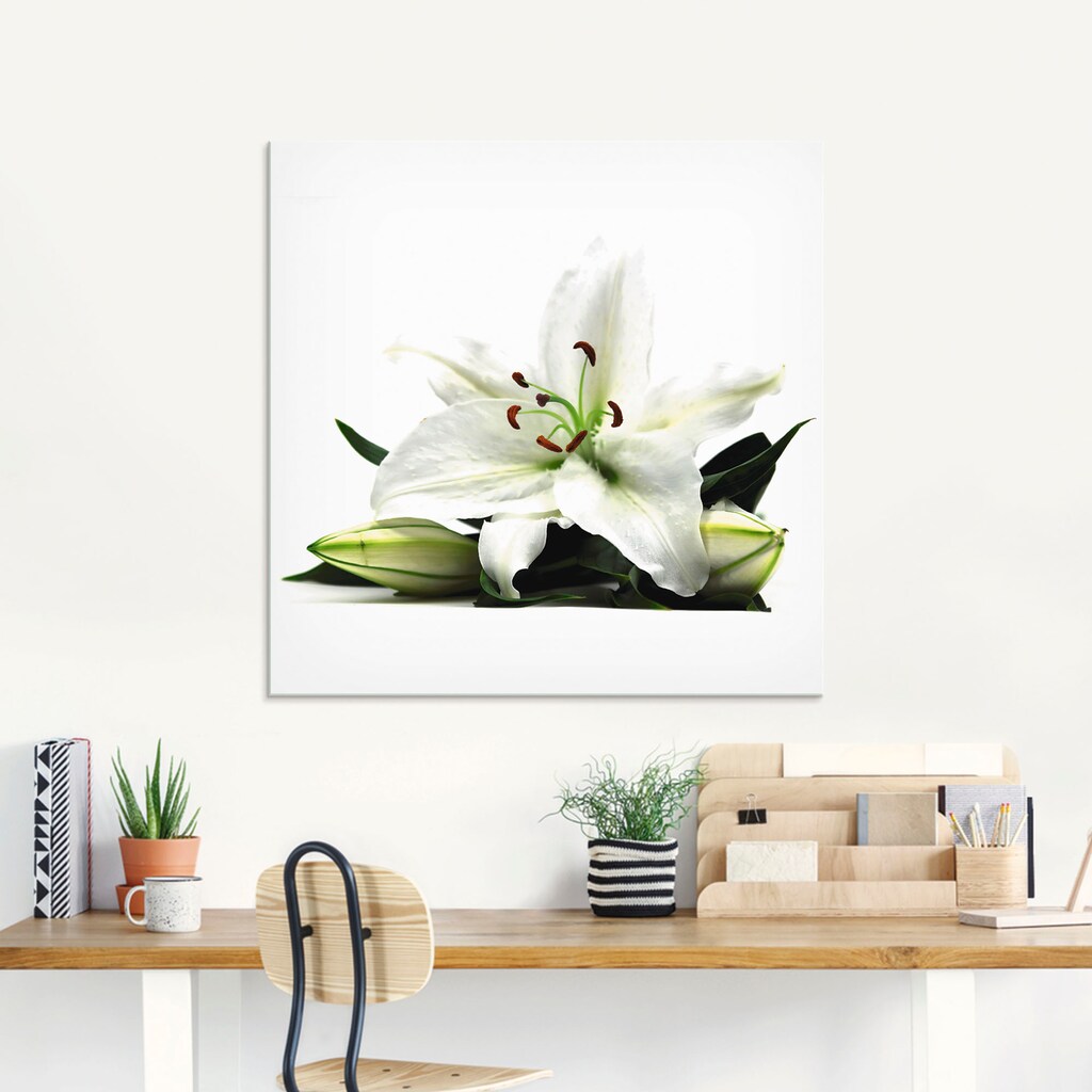 Artland Glasbild »Grosse Lilie«, Blumen, (1 St.)