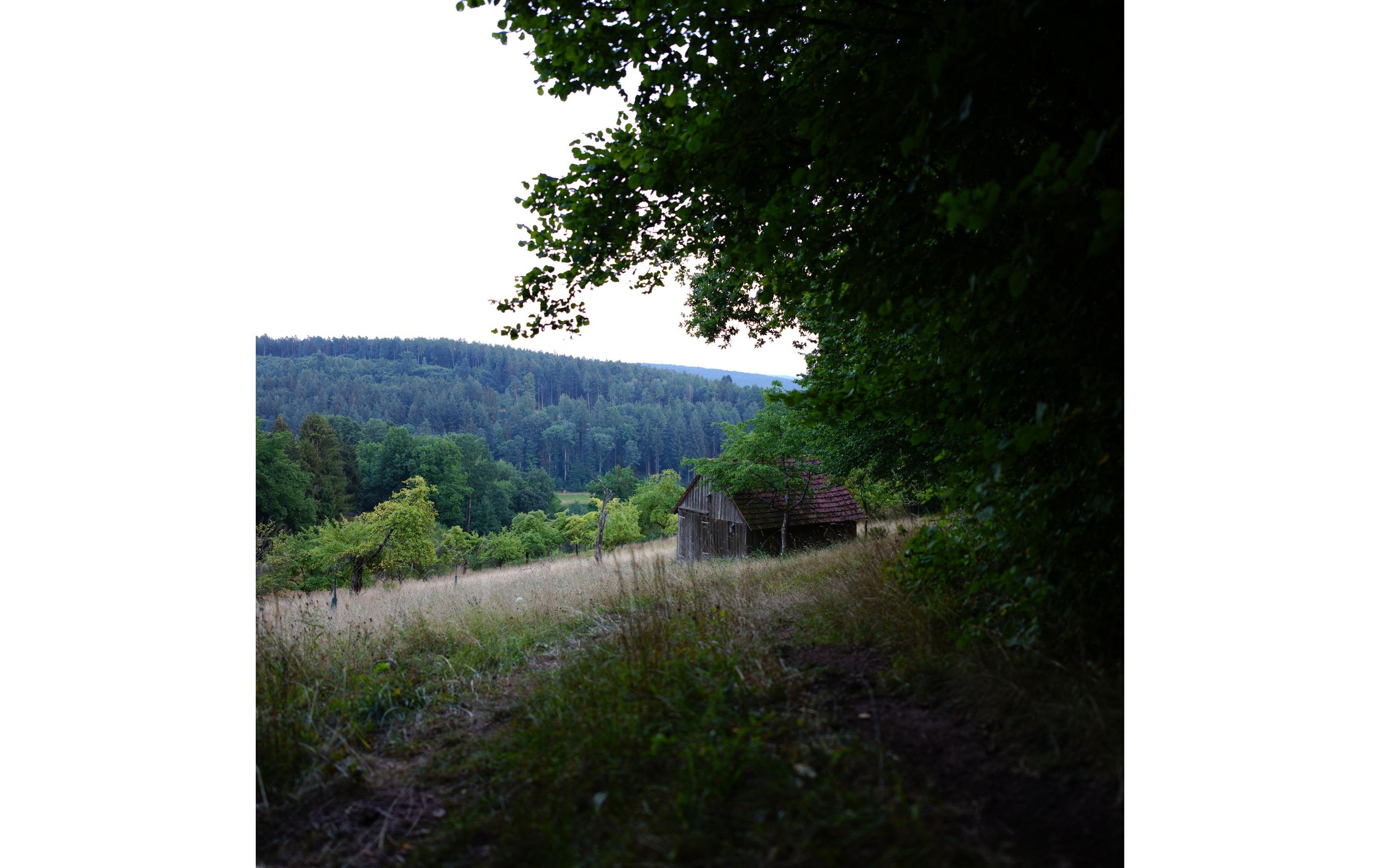 SIGMA Festbrennweiteobjektiv »20mm / f 1.4 DG DN Art SO«