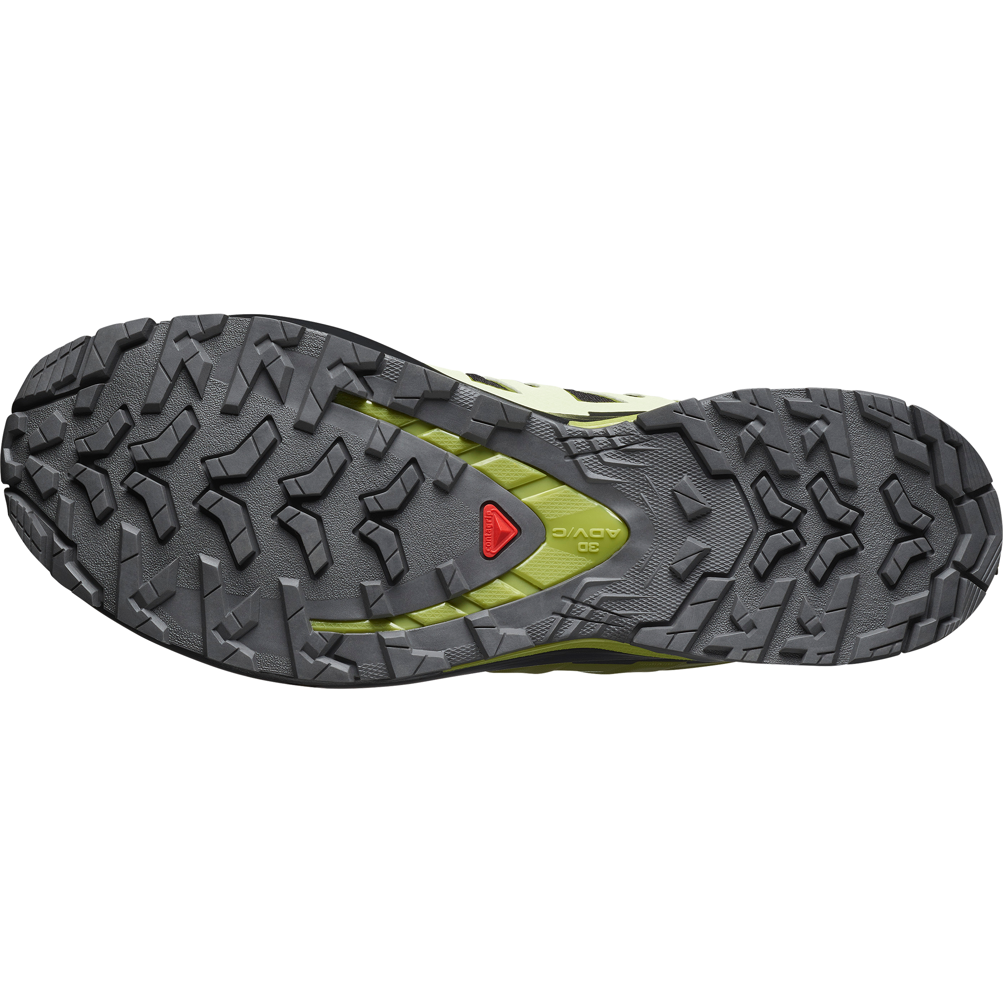 Salomon Trailrunningschuh »XA PRO 3D V9 GORE-TEX«, wasserdicht