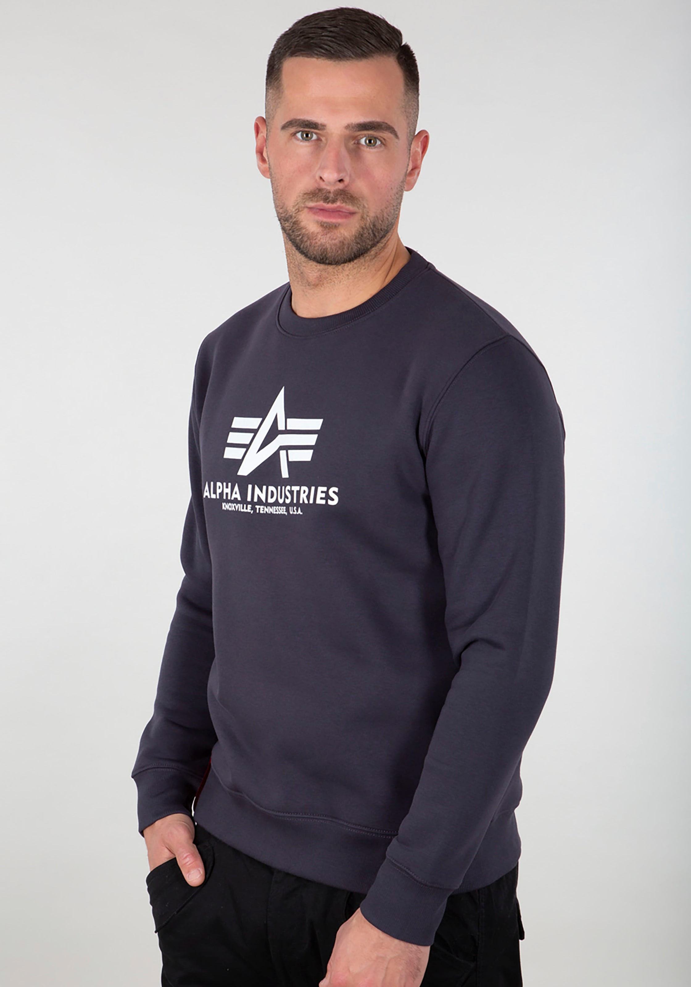 Alpha Industries Sweatshirt »Basic Sweater«, Baumwollmischung, regular fit