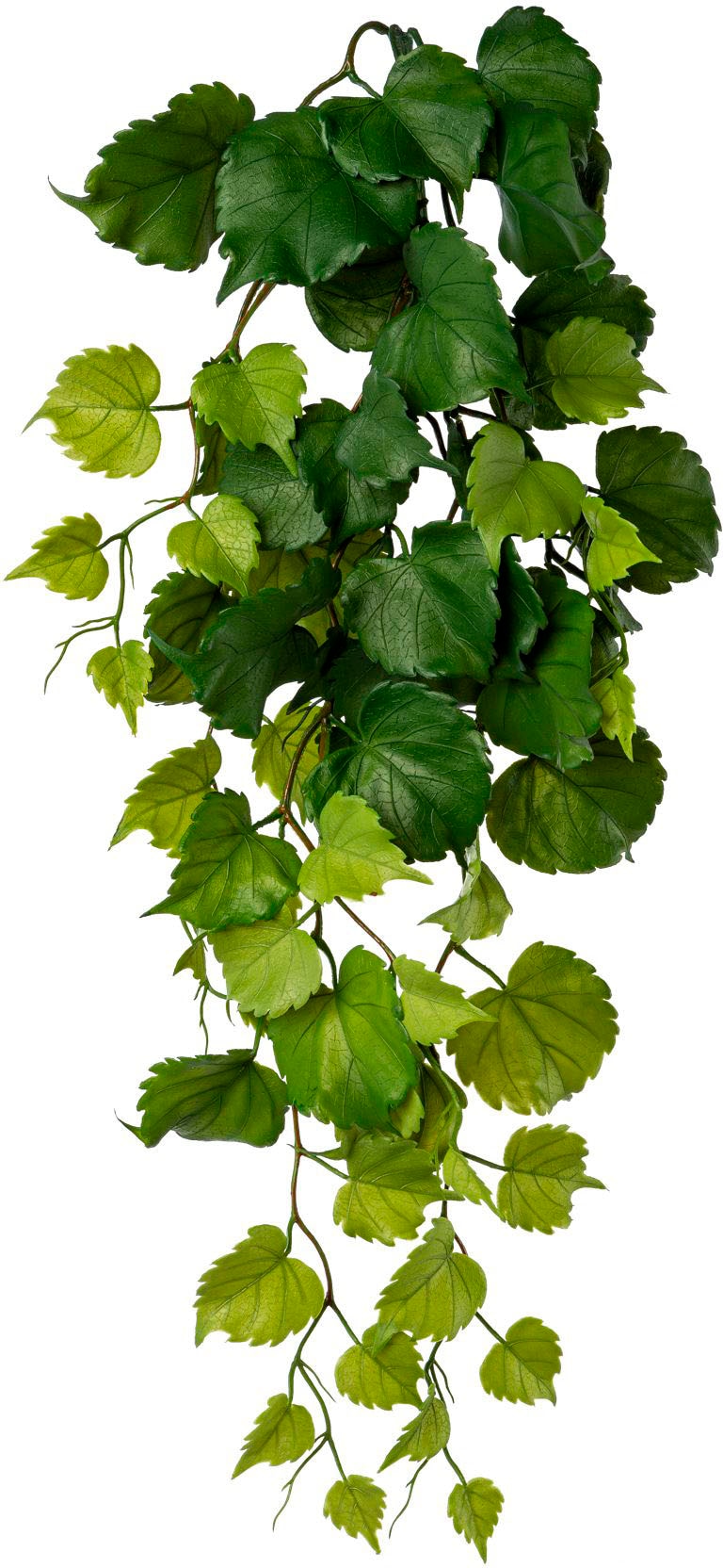 Creativ green Kunstranke »Hängezweig Pappelblatt«