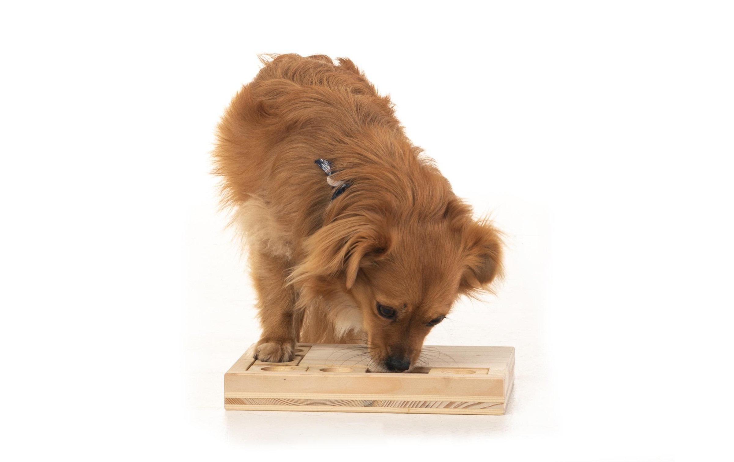 Tier-Intelligenzspielzeug »Hundespiele.ch Schiebeklotz mittelschwer«, Holz, Holzart: FichteHerkunftsland: Schweiz, Südeuropa