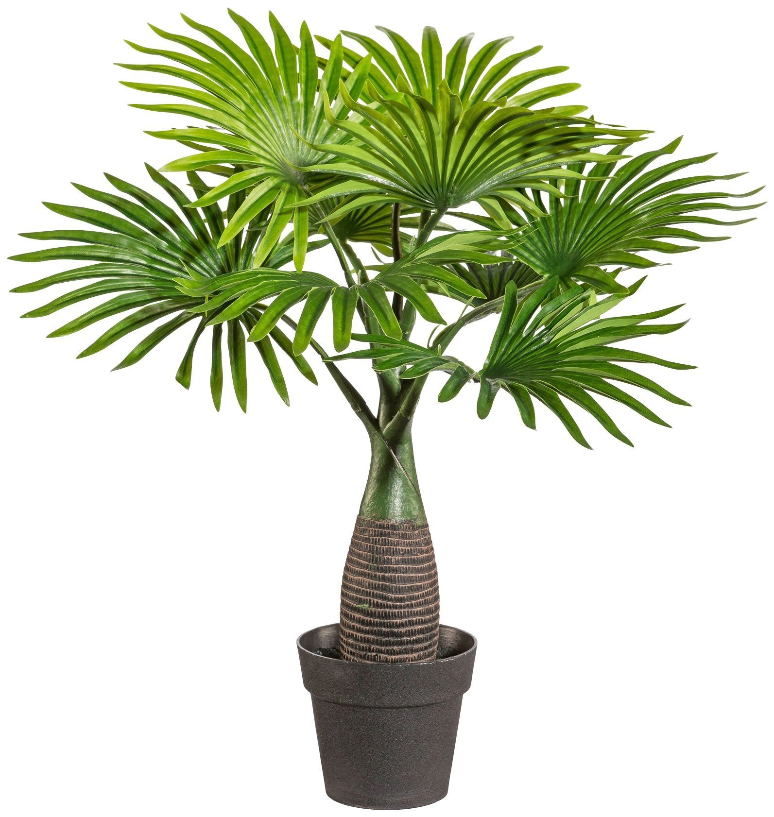 Creativ green Kunstpalme »Palme Mini«, (1 St.), im Kunststofftopf