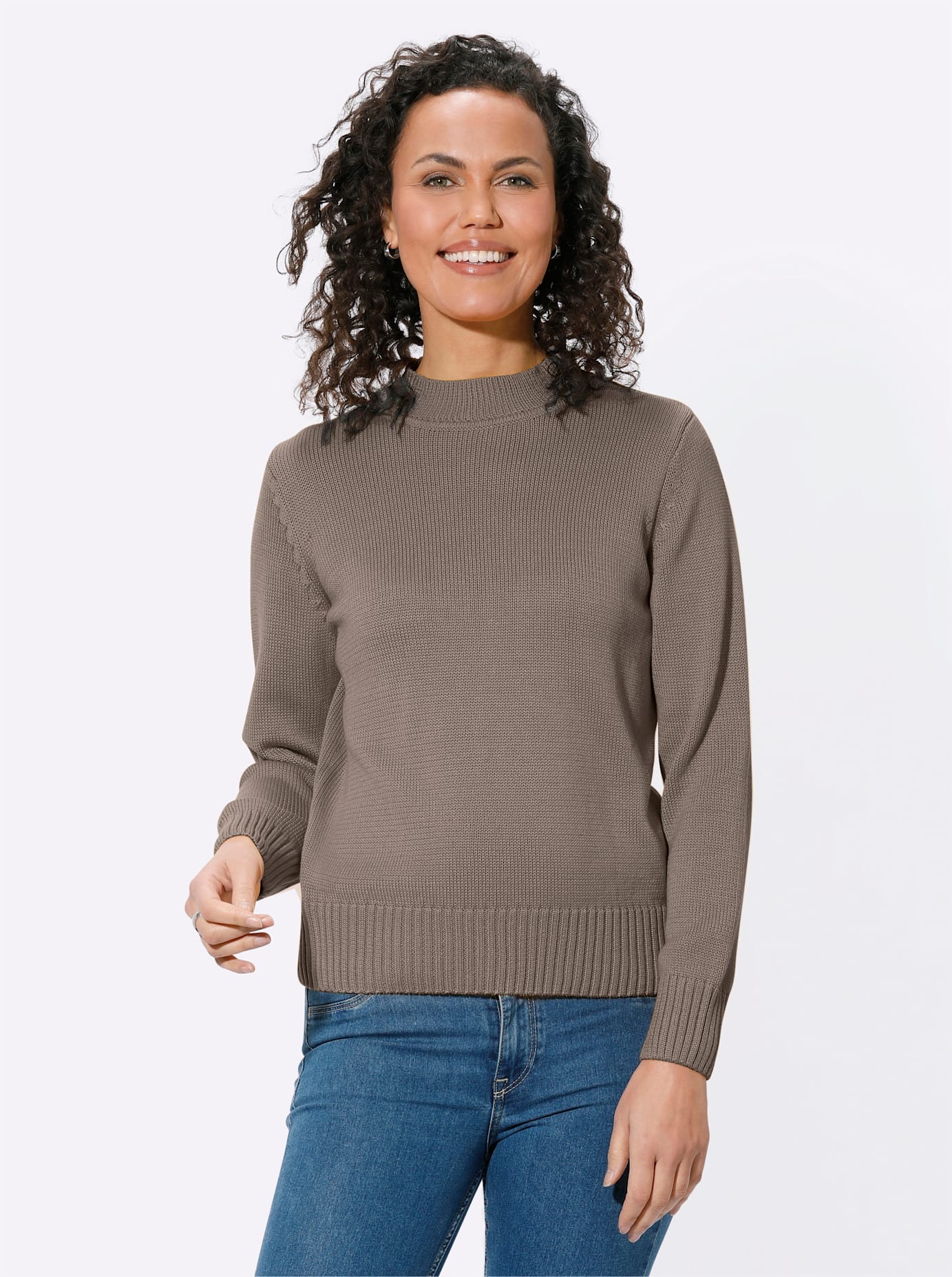 Casual Looks Stehkragenpullover "Pullover"
