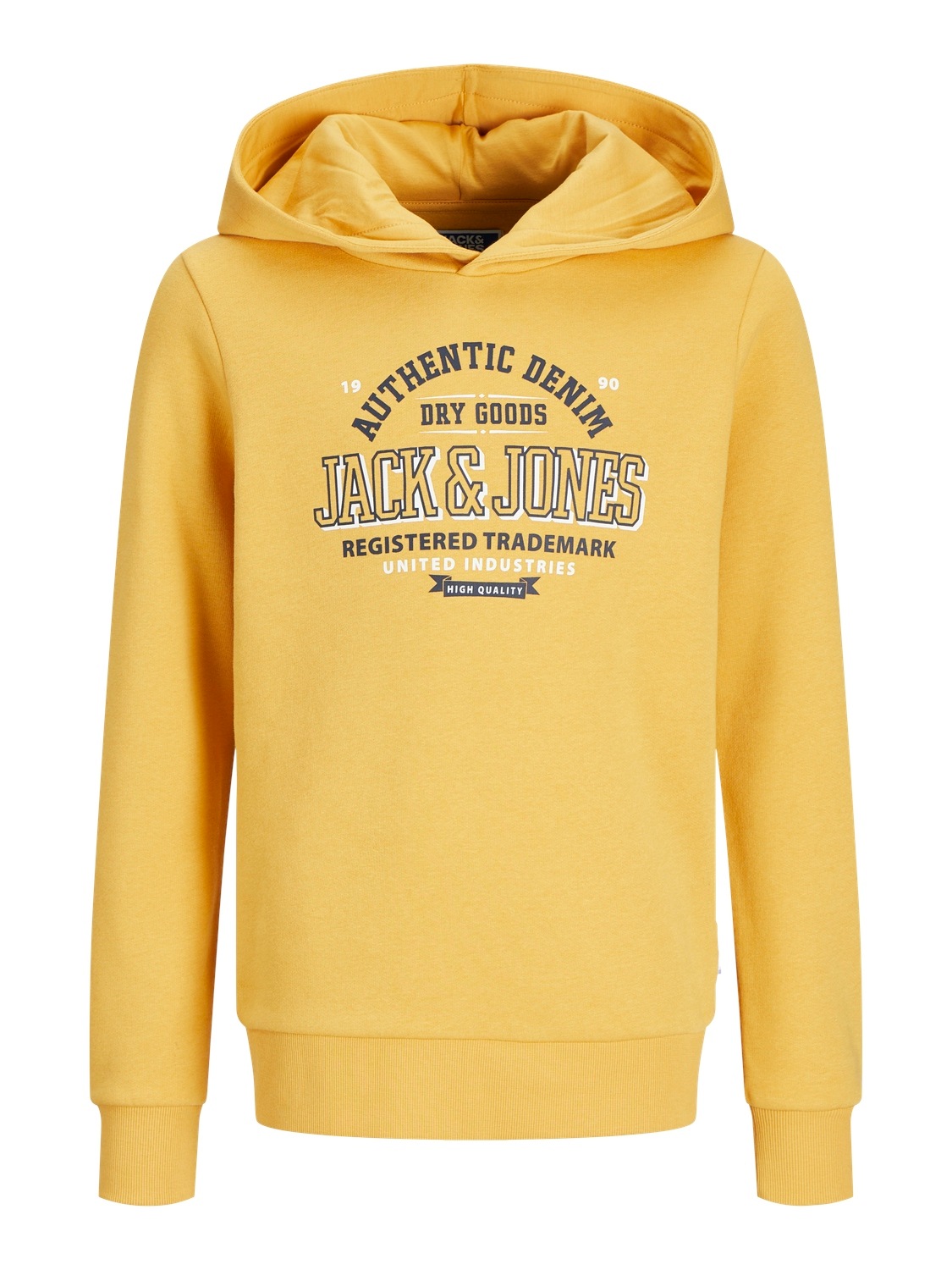 Jack & Jones Junior Kapuzensweatshirt »JJELOGO SWEAT HOOD 2 COL 24/25 NOOS JNR«