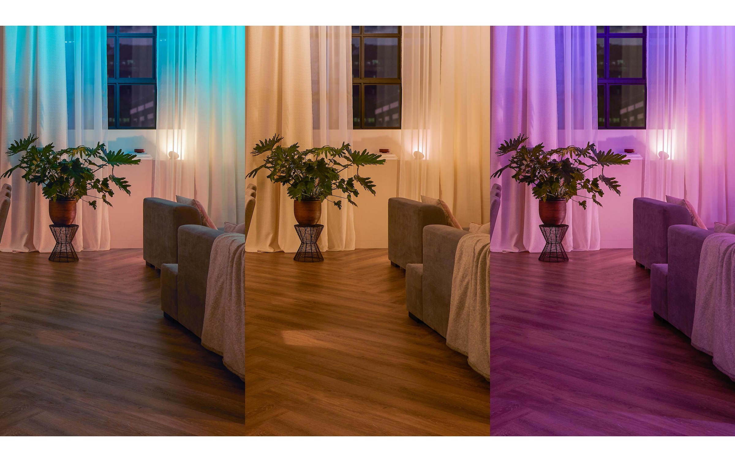 Philips Hue Lichtschalter »Wall Switch Modul«