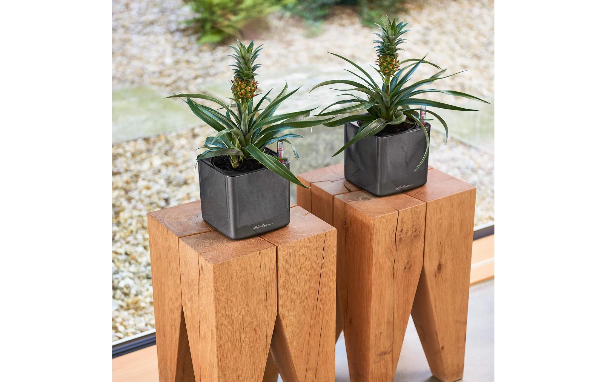 Blumentopf »Lechuza Pflanzentopf CUBE Glossy Ti«, Material: Polycarbonat, Polypropylen