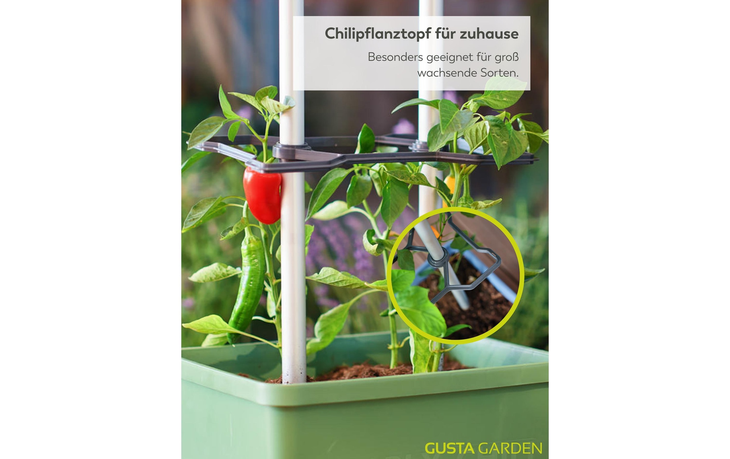 Gusta Garden Anzuchttopf »Charly Chili XL«