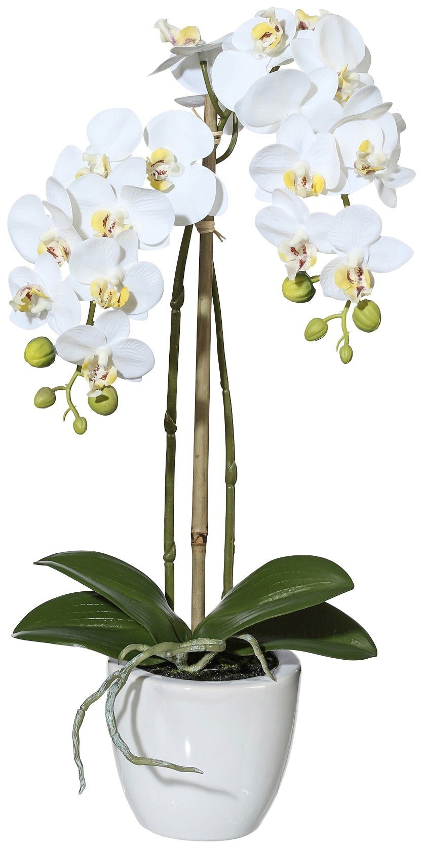 Creativ green Kunstpflanze »Orchidee Phalaenopsis«, im Keramiktopf