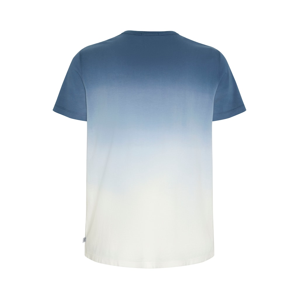 Chiemsee T-Shirt »D BLU/L BLU DD«
