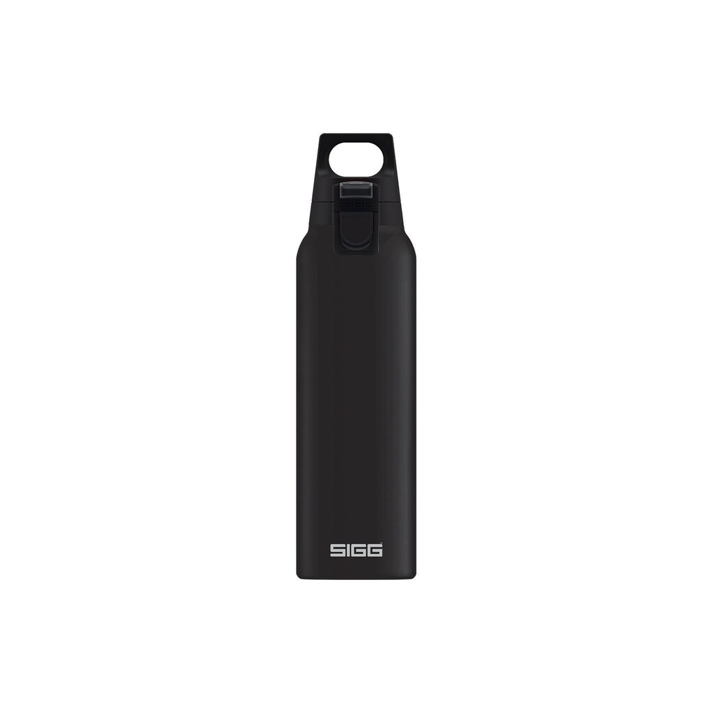 Sigg Trinkflasche »Hot&Cold ONE 500«