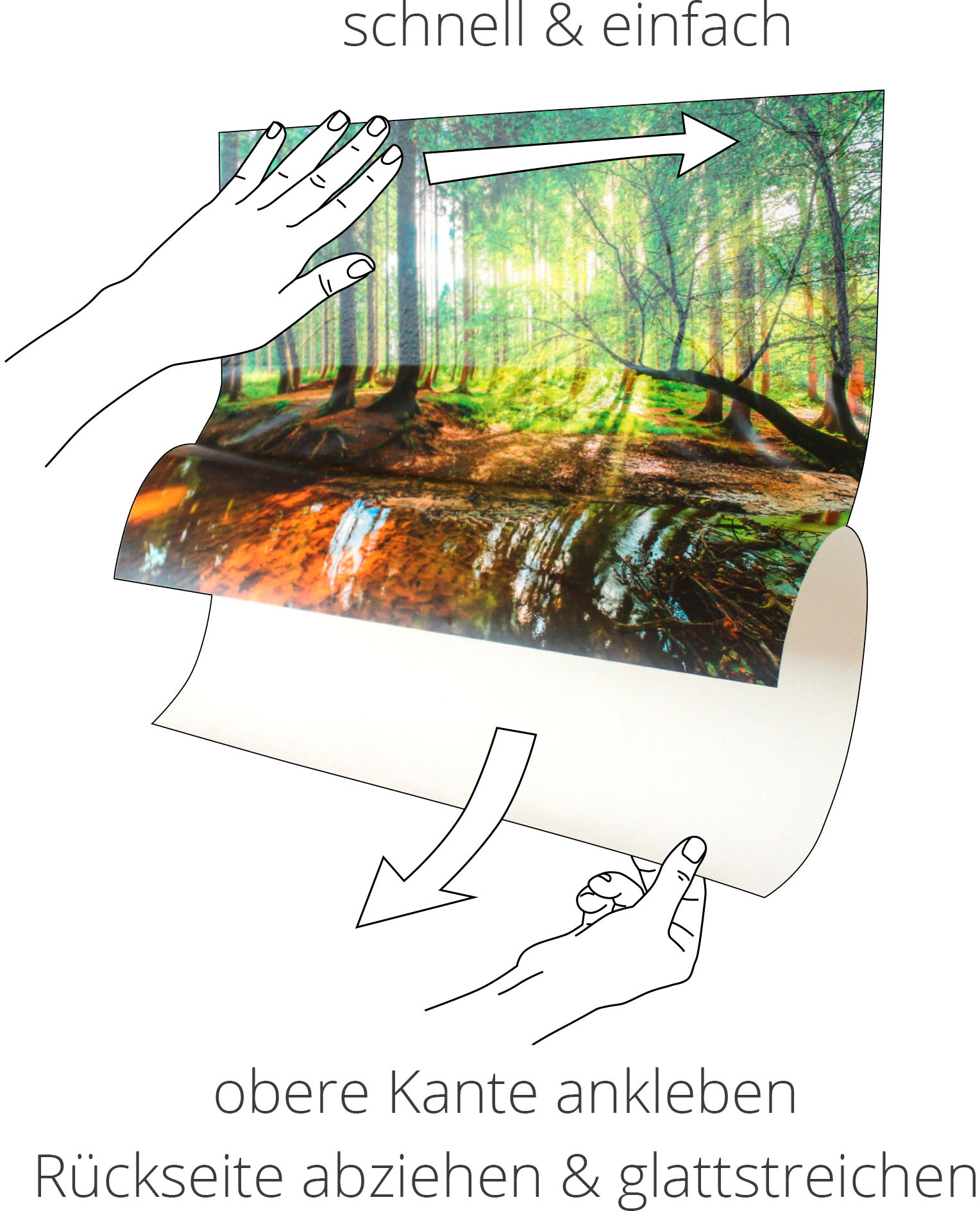 Artland »Weg in (1 St.), oder Leinwandbild, Wald, Wandaufkleber versch. online Alubild, Poster als Grössen Wald«, im Jelmoli-Versand | kaufen Wandbild