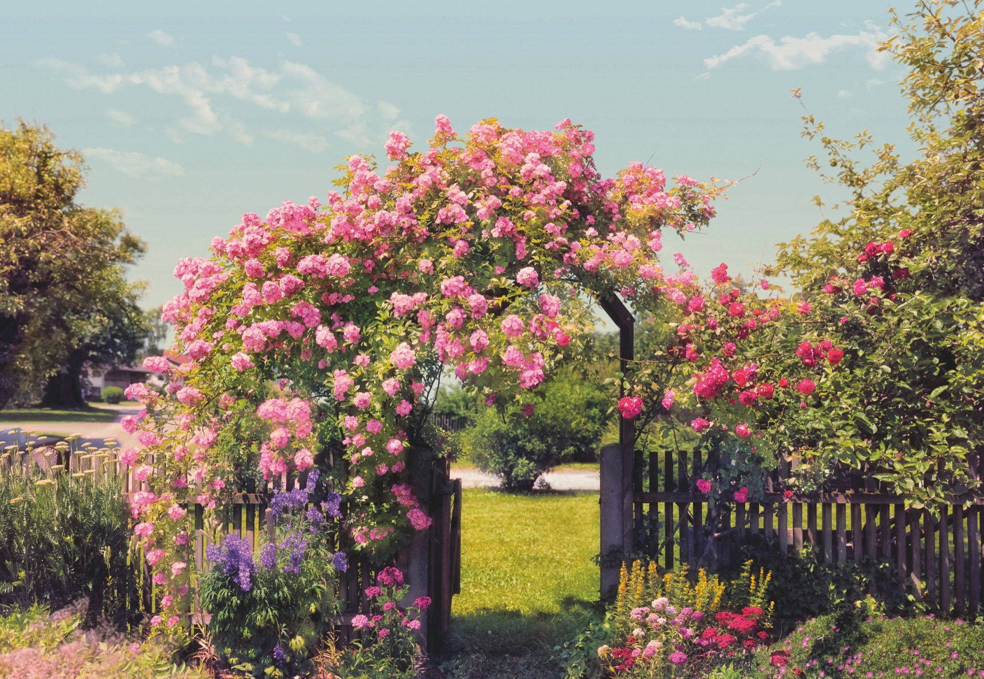 Komar Fototapete »Rose Garden«, 368x254 cm (Breite x Höhe), inklusive Kleister