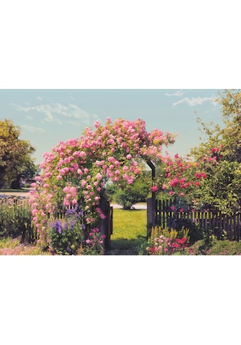 Fototapete »Rose Garden«
