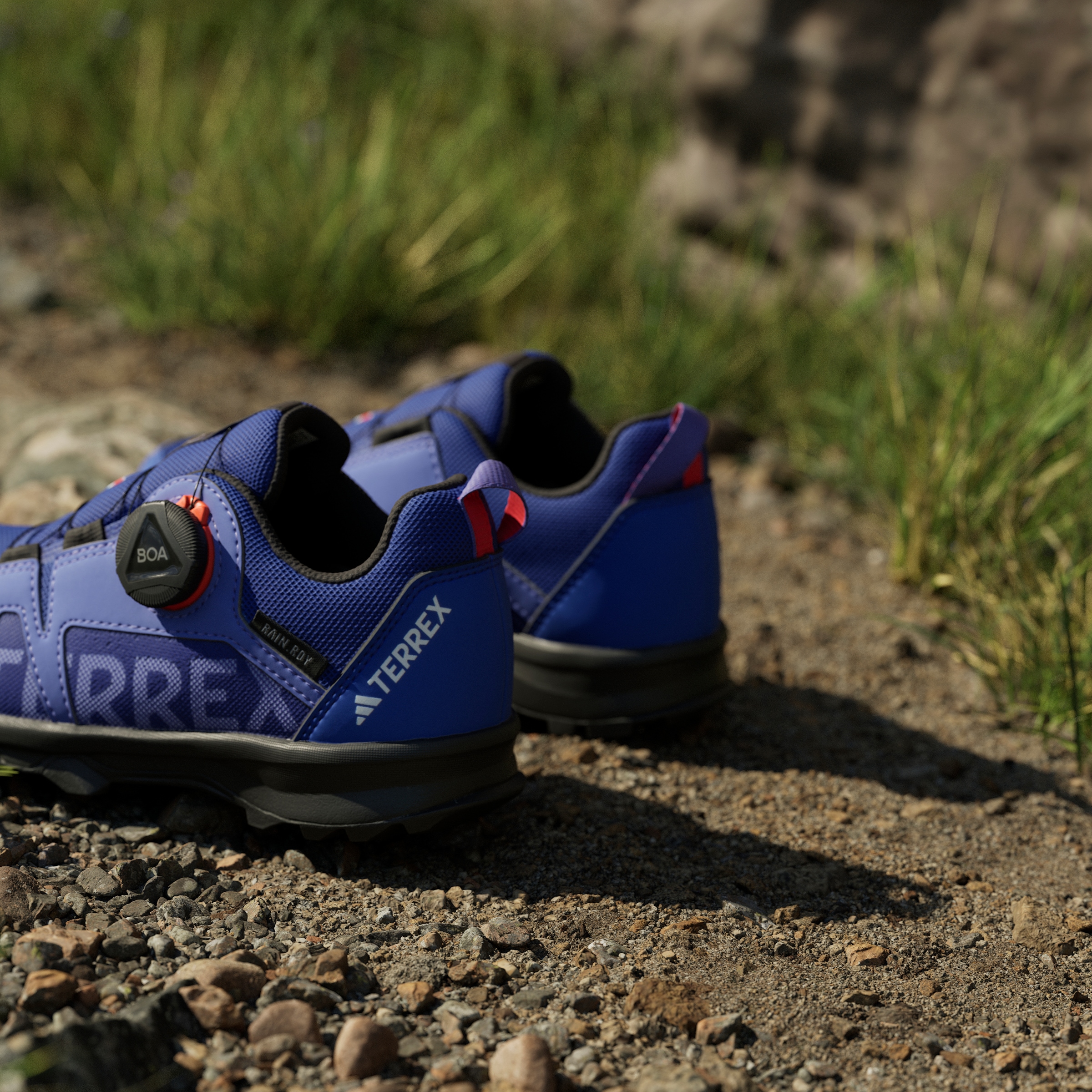 adidas TERREX Trailrunningschuh »TERREX AGRAVIC BOA RAIN.RDY TRAILRUNNING«, wasserdicht