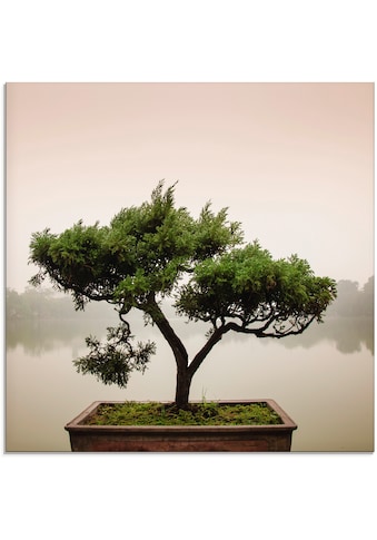 Artland Glasbild »Chinesischer Bonsaibaum«, Bäume, (1 St.) kaufen