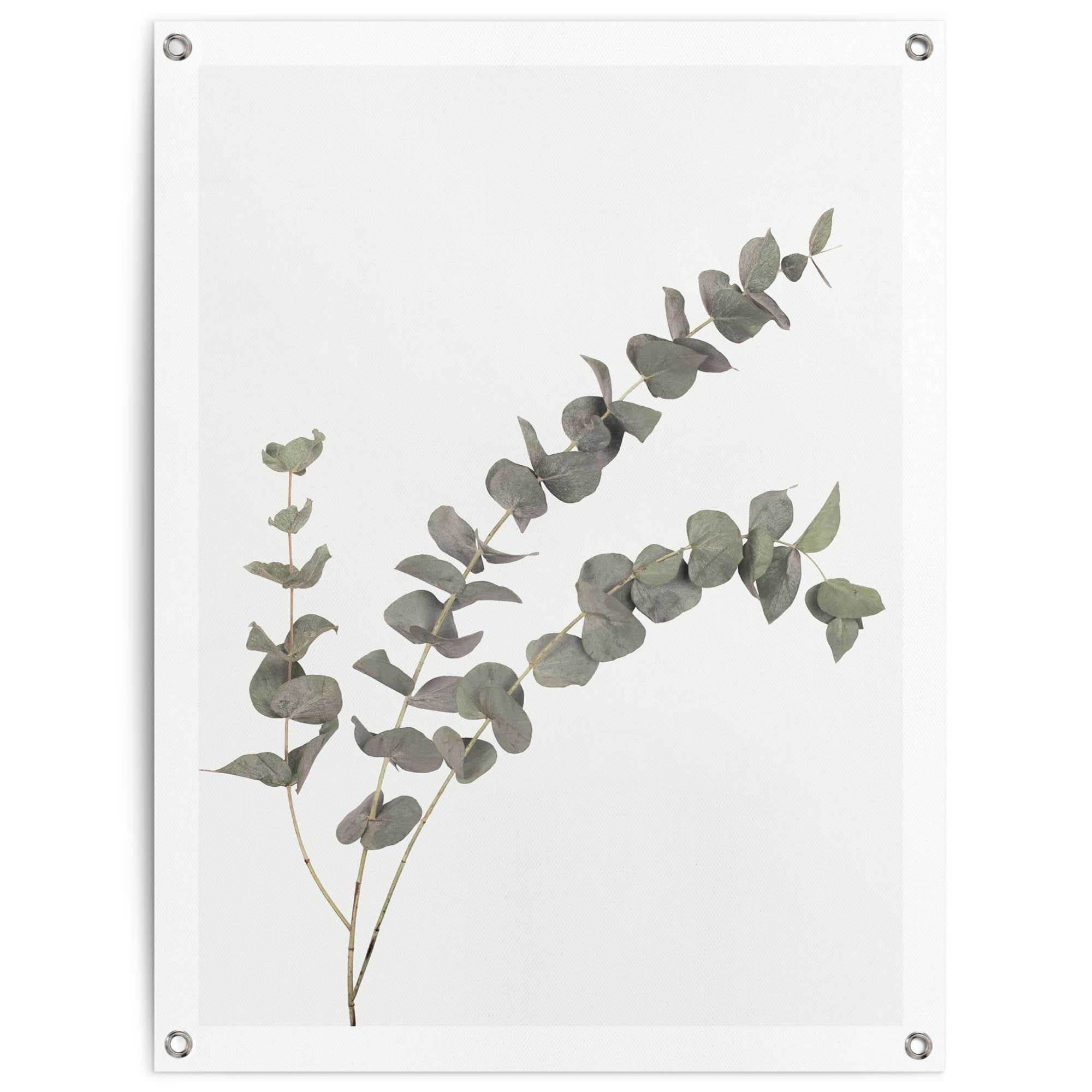 Reinders! Poster »Eukalyptus«, Outdoor für Garten oder Balkon online kaufen  | Jelmoli-Versand
