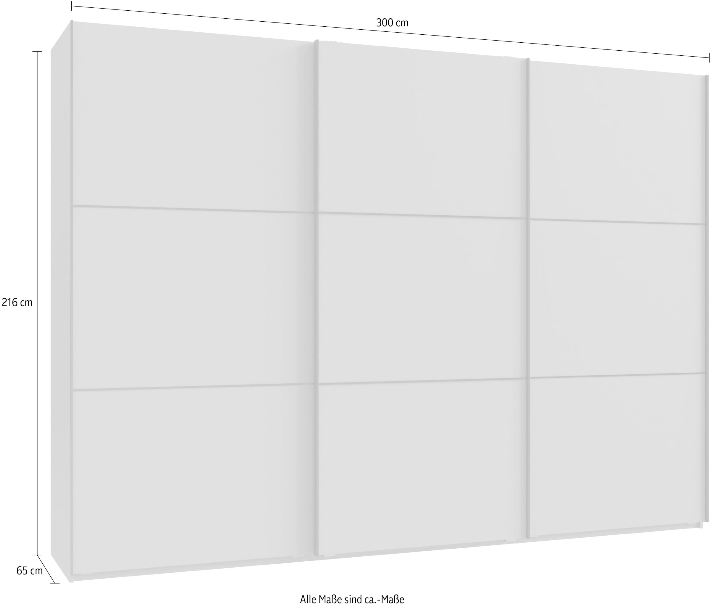 Wimex Kleiderschrank »Indiana by fresh to go, wahlweise mit oder ohne Spiegel«, (INKLUSIVE Innenausstattung und Selbsteinzug für die Türen), grosse Breiten250 oder 300cm, mit oder ohne Glasfront, Made in Germany