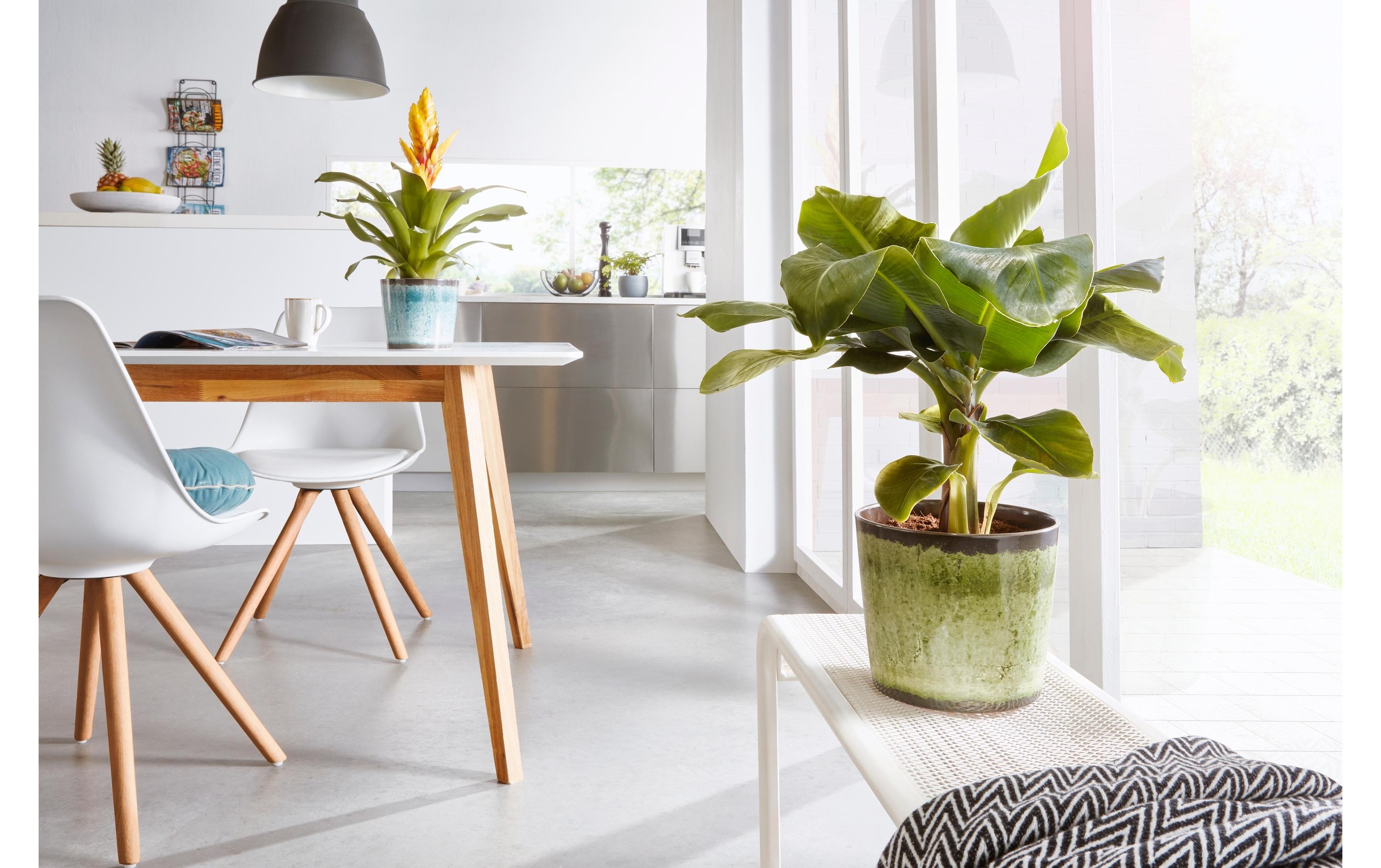 Scheurich Blumentopf »Meadow Glaze«