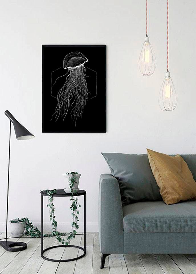 im Komar Poster Schlafzimmer, »Jellyfish Tiere, Black«, entdecken Wohnzimmer Kinderzimmer, Shop Jelmoli-Online