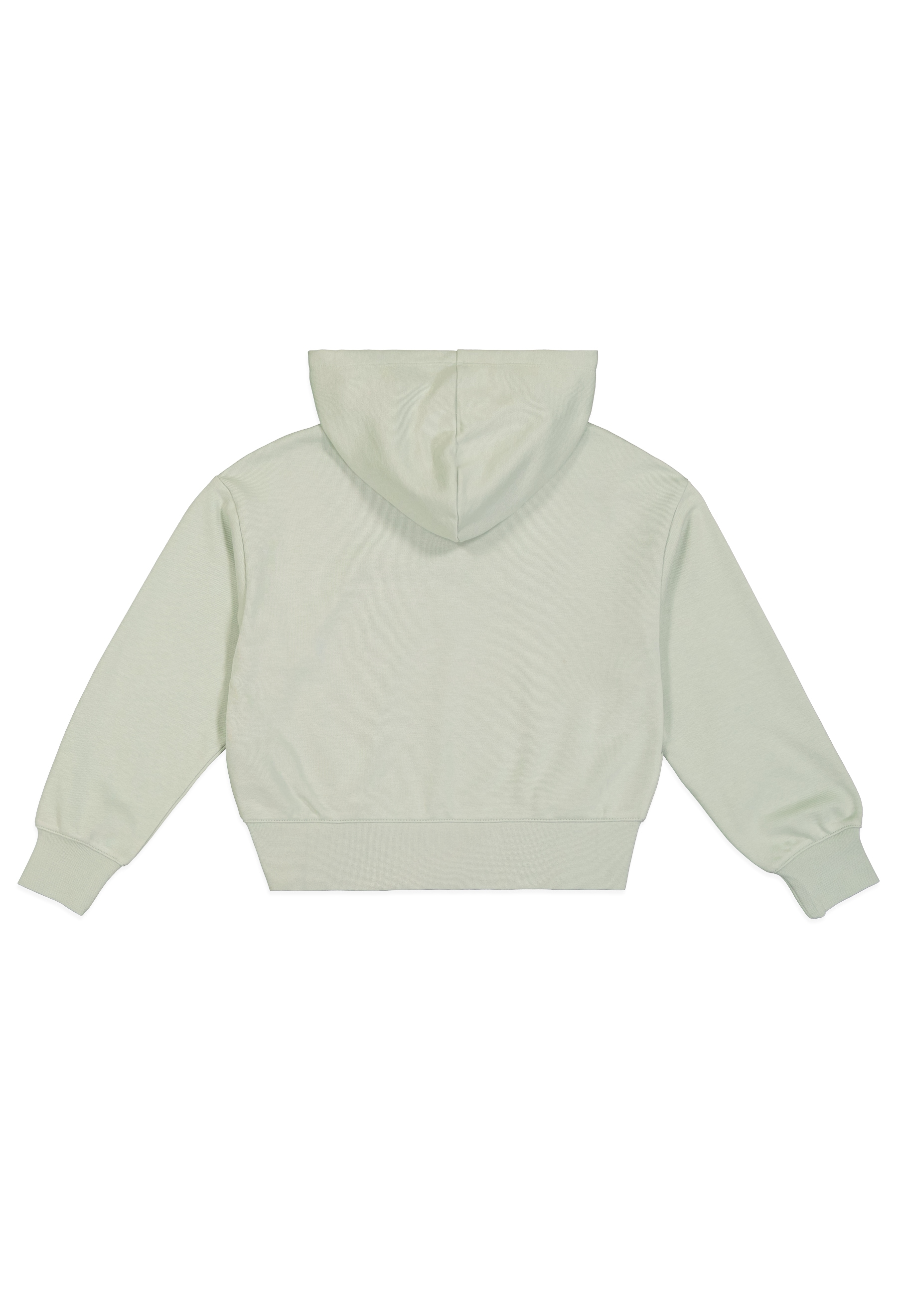 Champion Kapuzensweatshirt