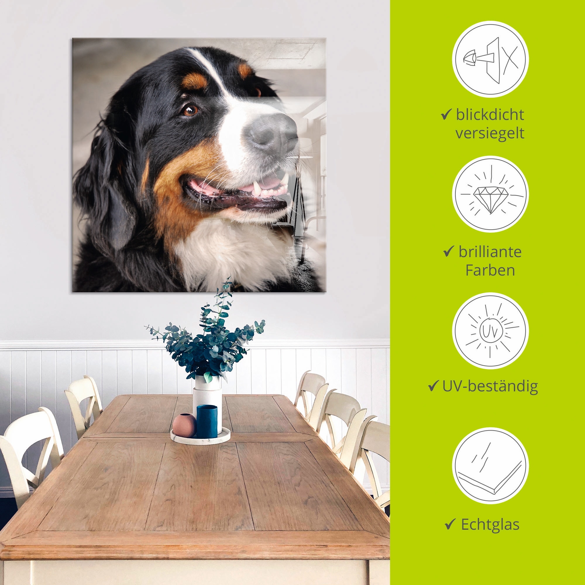 Artland Glasbild »Berner Sennenhund«, Haustiere, (1 St.), in verschiedenen Grössen
