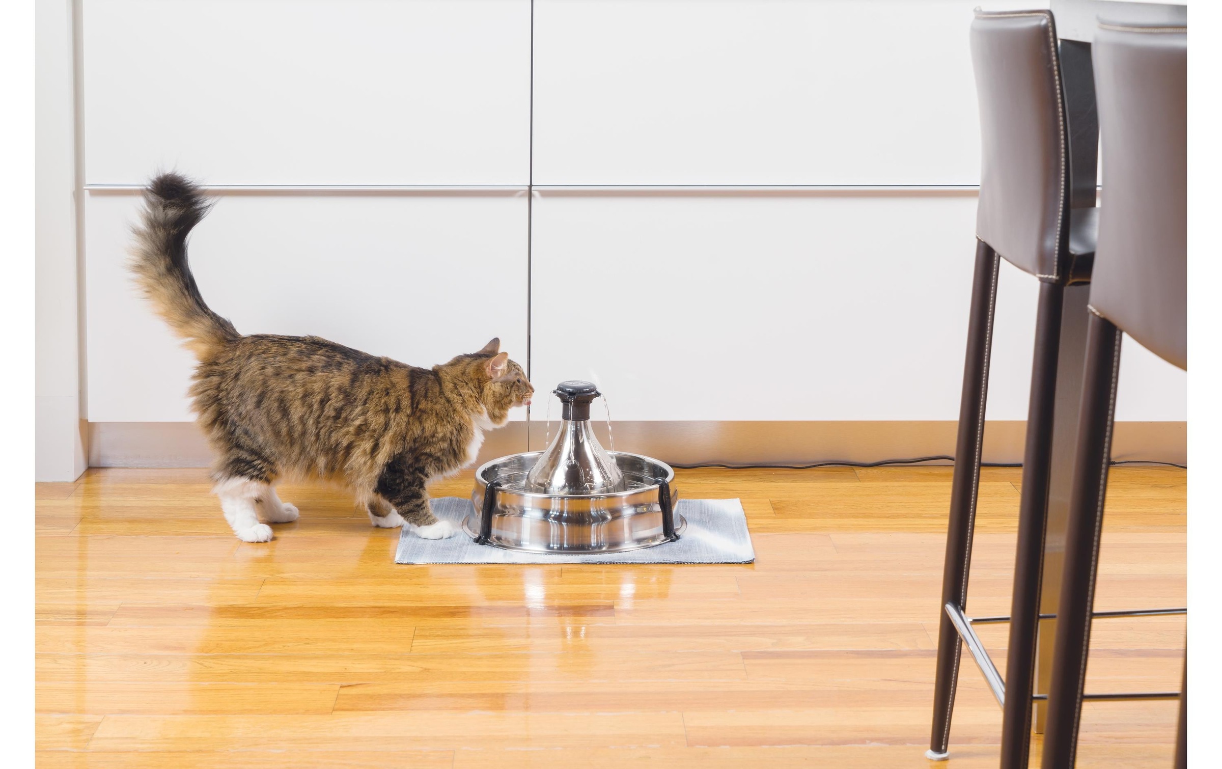 PetSafe Wasserspender »PetSafe Drinkwell 360«