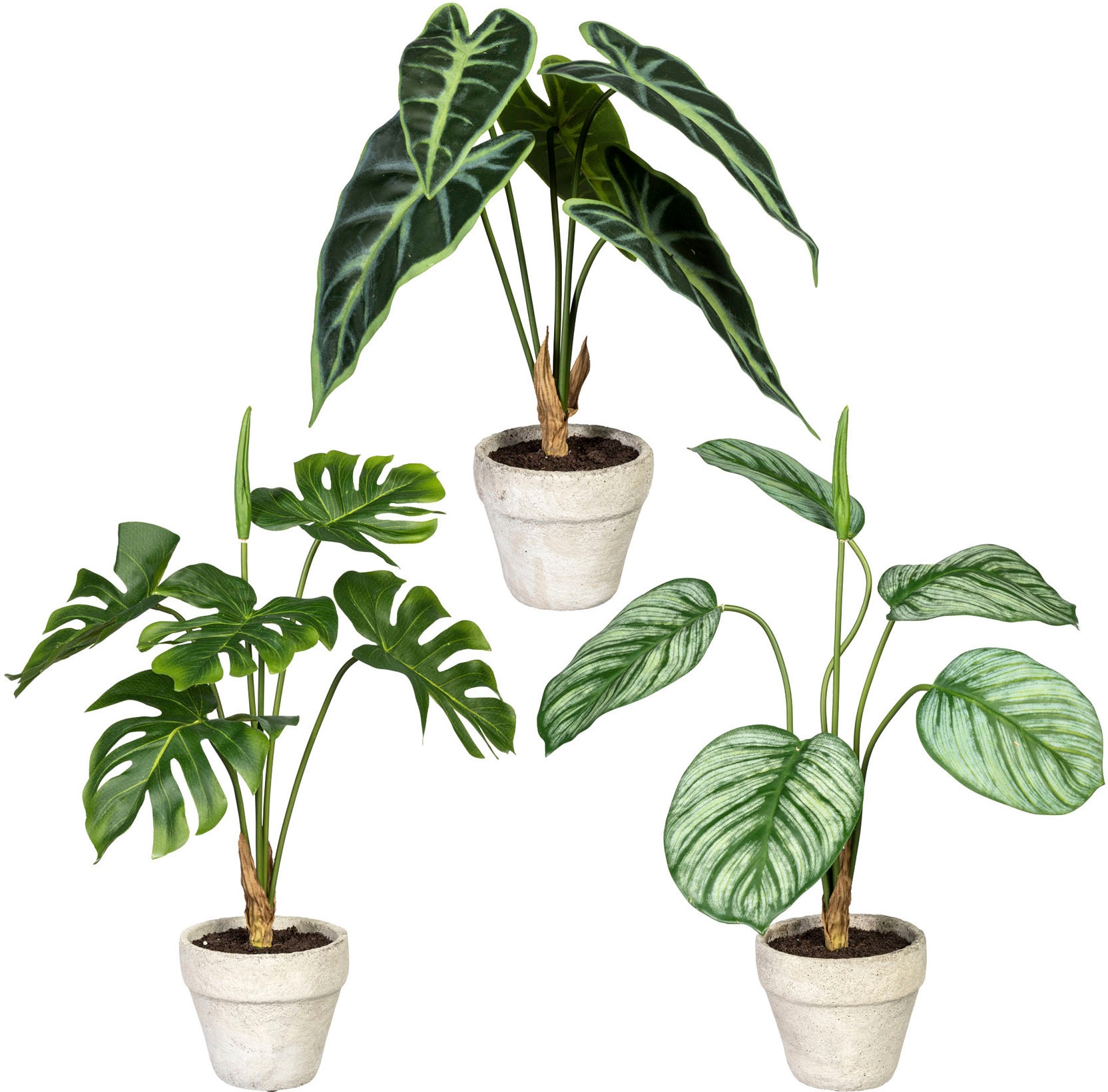 Creativ green Künstliche Zimmerpflanze »Set aus Grünpflanzen«, im Zementtopf,  3er Set online bestellen | Jelmoli-Versand