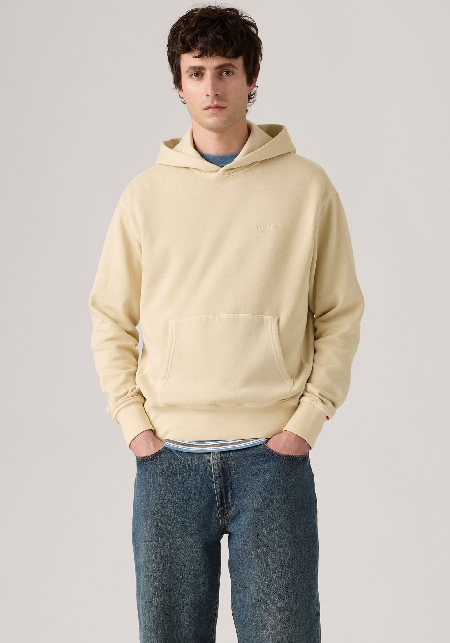 Levi's® Hoodie »THE AUTHENTIC HOODIE«, mit kleiner Ton-in-Ton Logostickerei auf der Brust