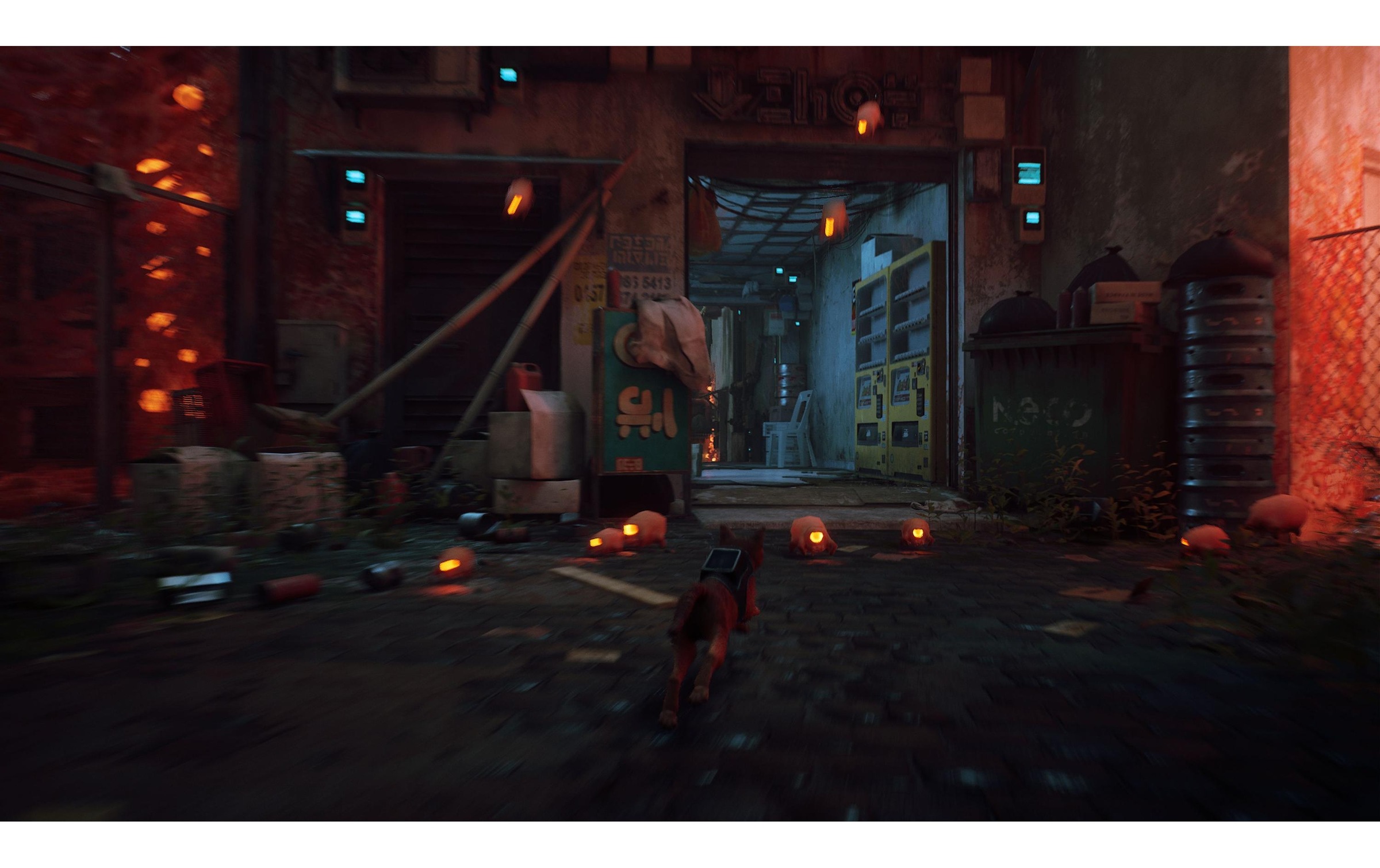 Spielesoftware »Stray,«, PlayStation 4