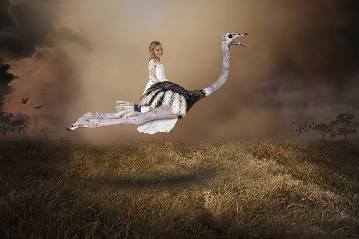 Papermoon Fototapete »Mädchen Strauss Vogel Liebe Hoffnung«