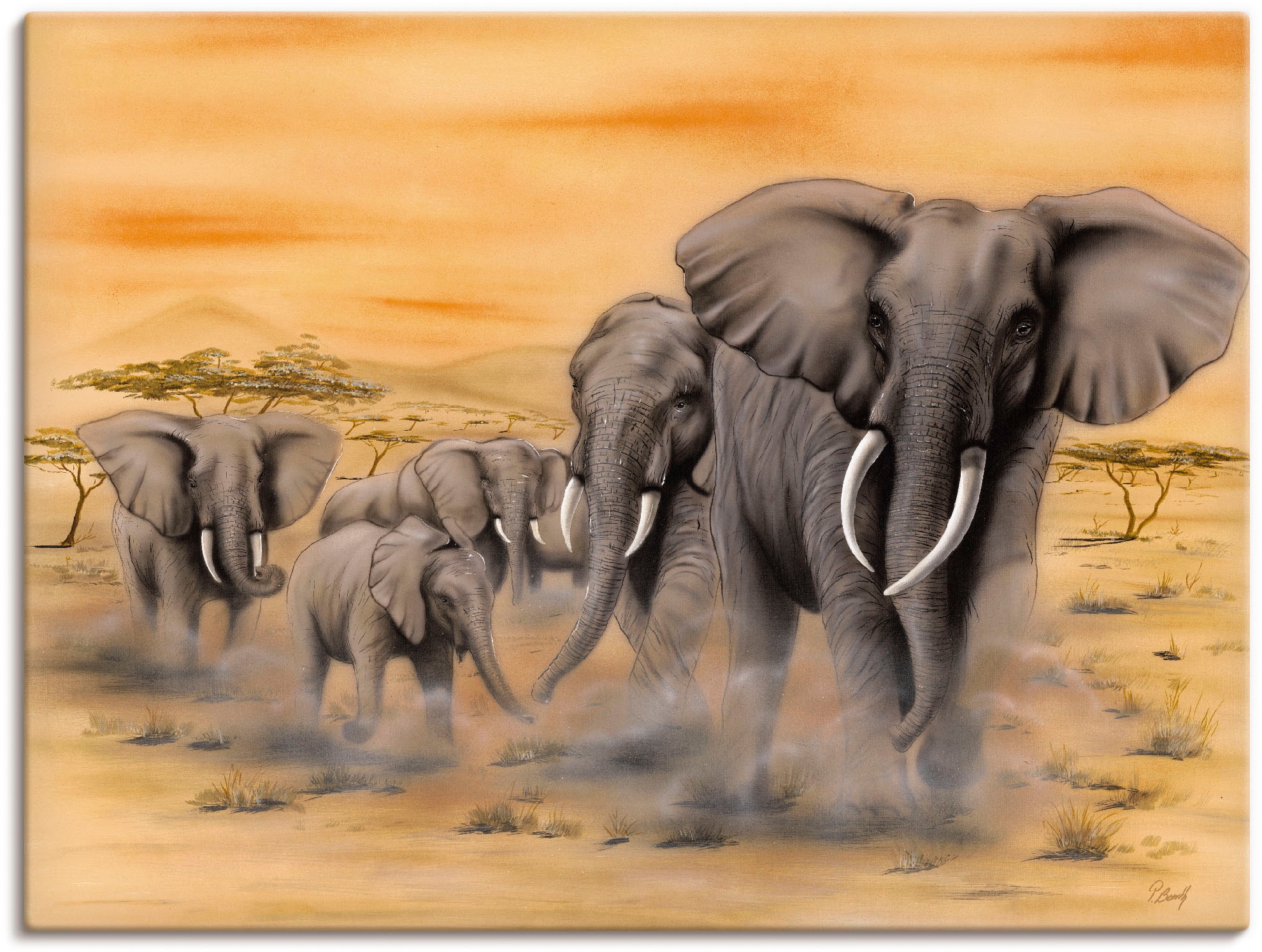 Artland Wandbild »Steppenelefanten«, Elefanten Bilder, (1 St.) online  shoppen | Jelmoli-Versand