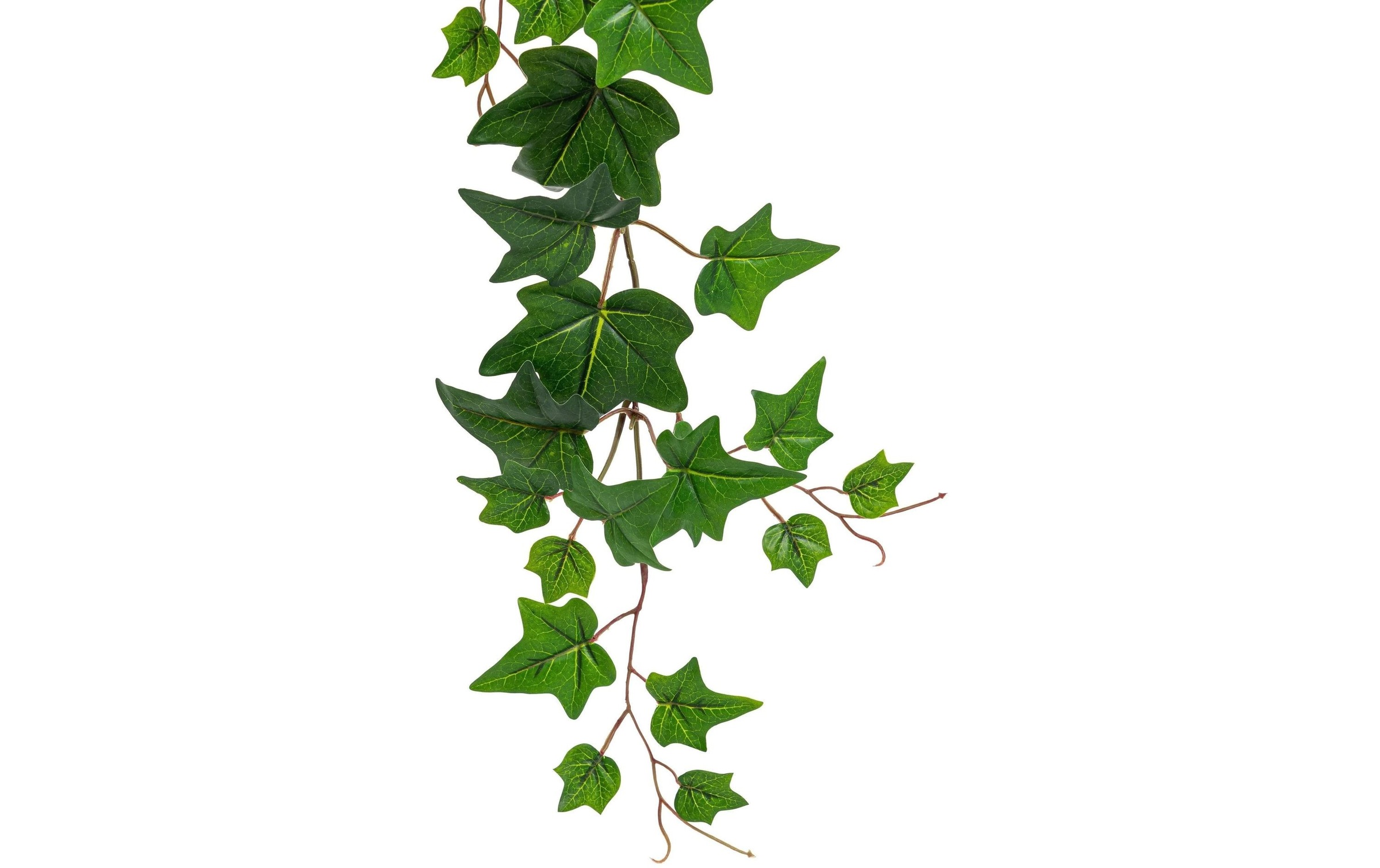Botanic-Haus Kunstgirlande »Efeugirlande 150 cm«