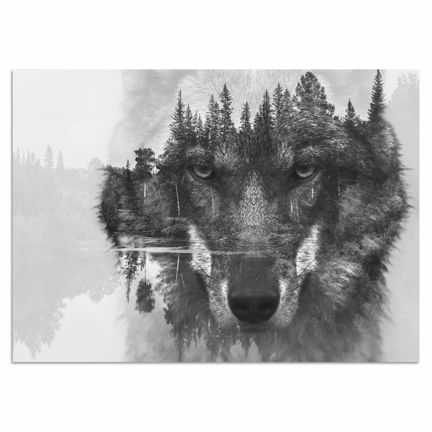 Acrylglasbild »Wolf«, 60/40 cm