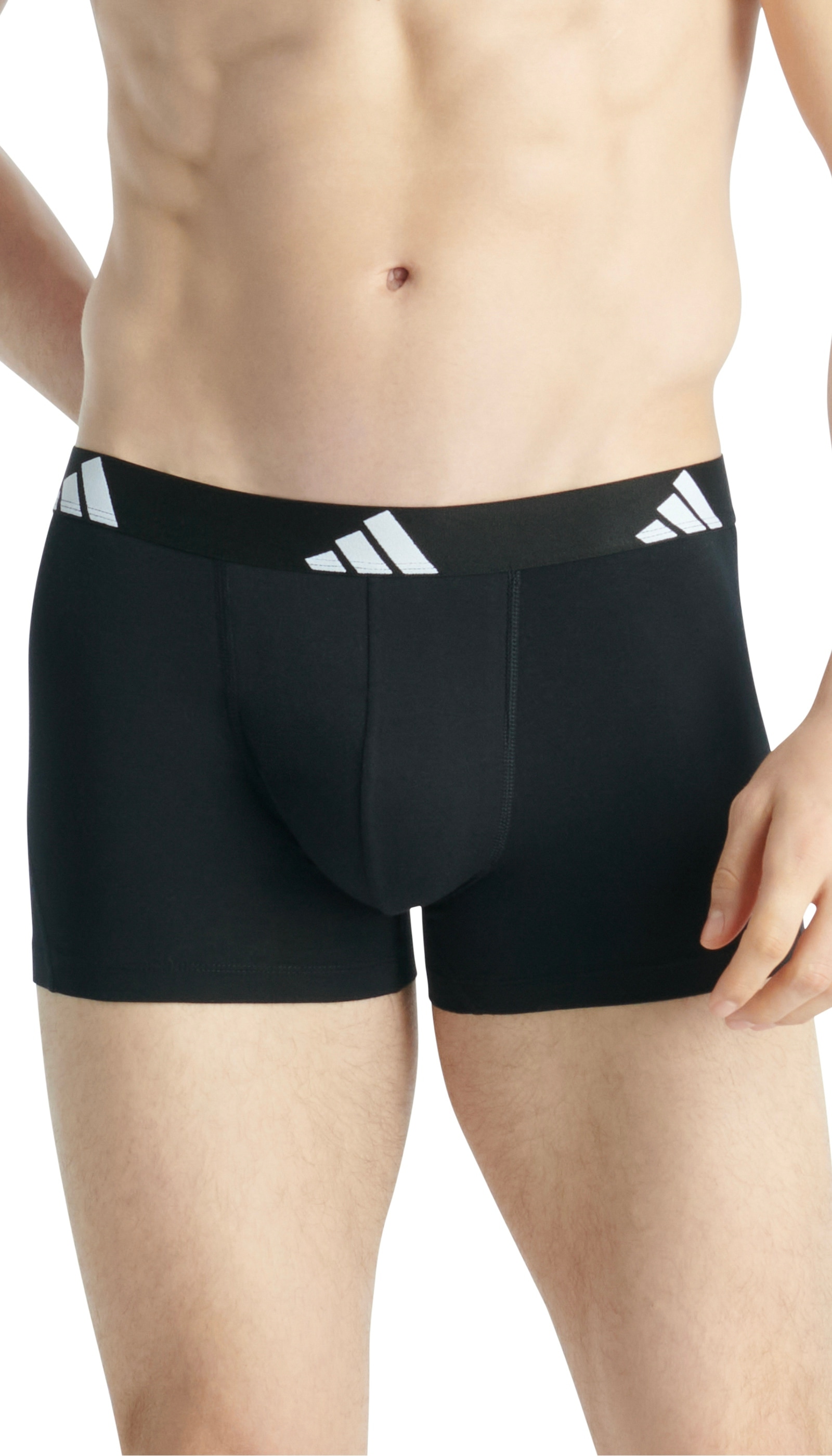 adidas Sportswear Trunk »Active Flex Cotton«, (5er Pack), Multipack, elastisch, Logo-Bund, ohne Eingriff