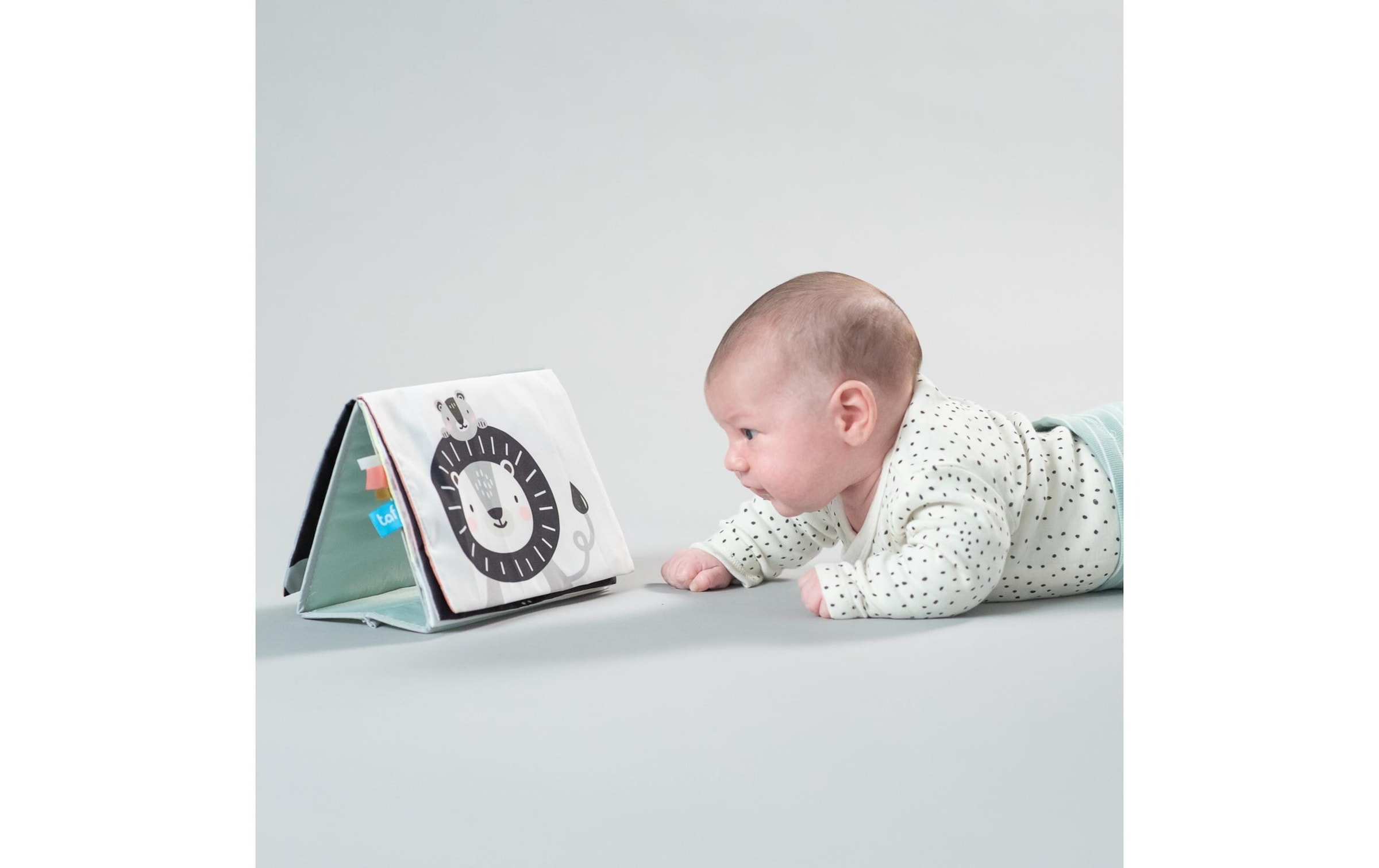 TAF TOYS Lernspielzeug »Savannah 0M+«