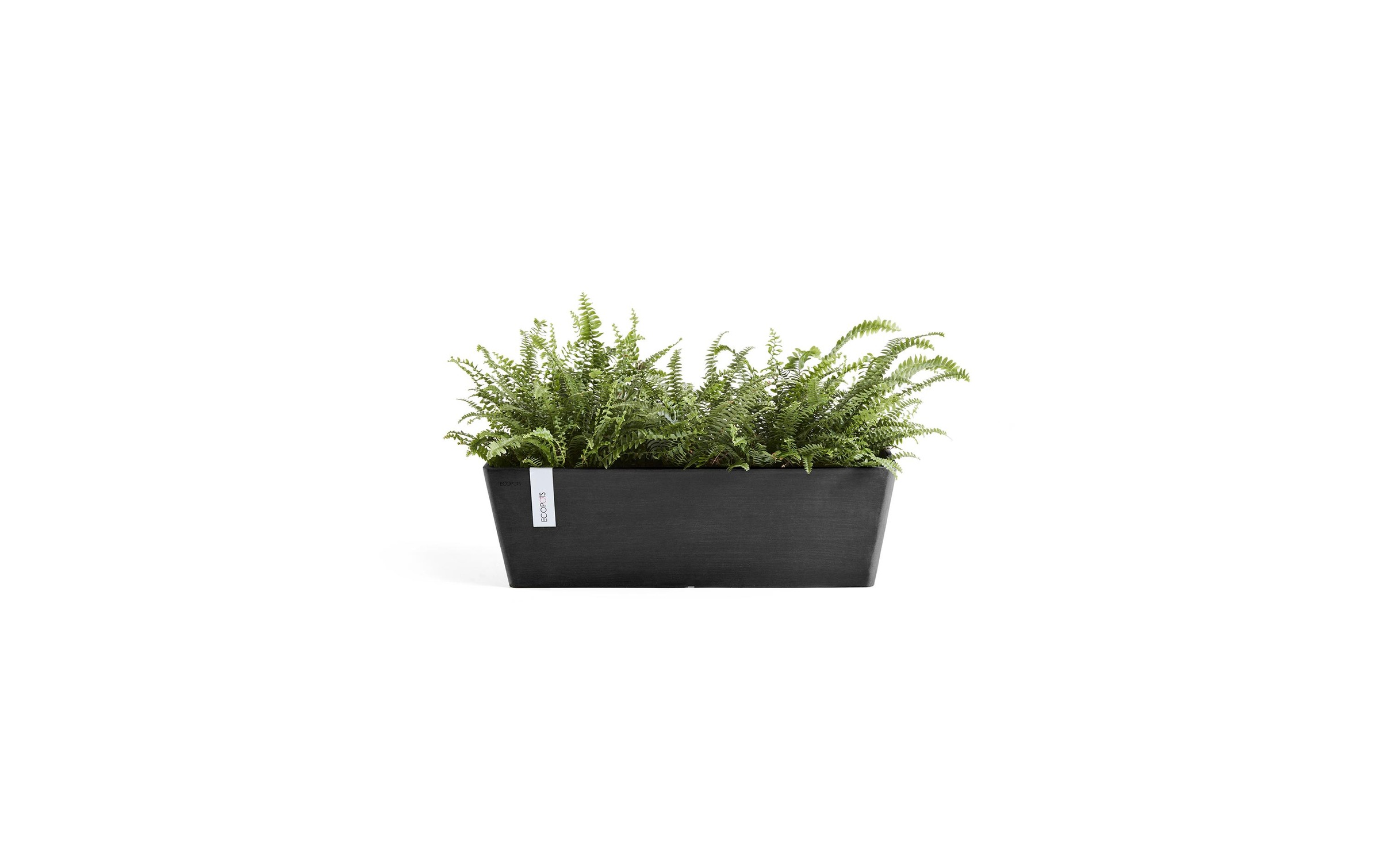 ECOPOTS Blumentopf »Bruges 55 Dunk«