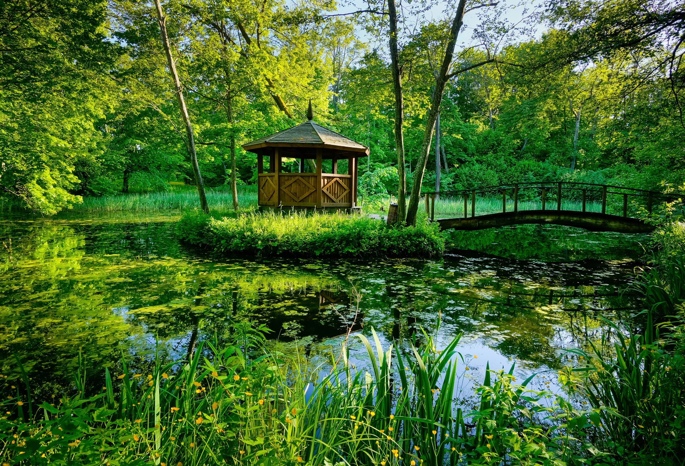 Papermoon Fototapete »GARTEN-BLUMEN BÄUME PFLANZEN PARK STEINE BLÜTEN WALD«