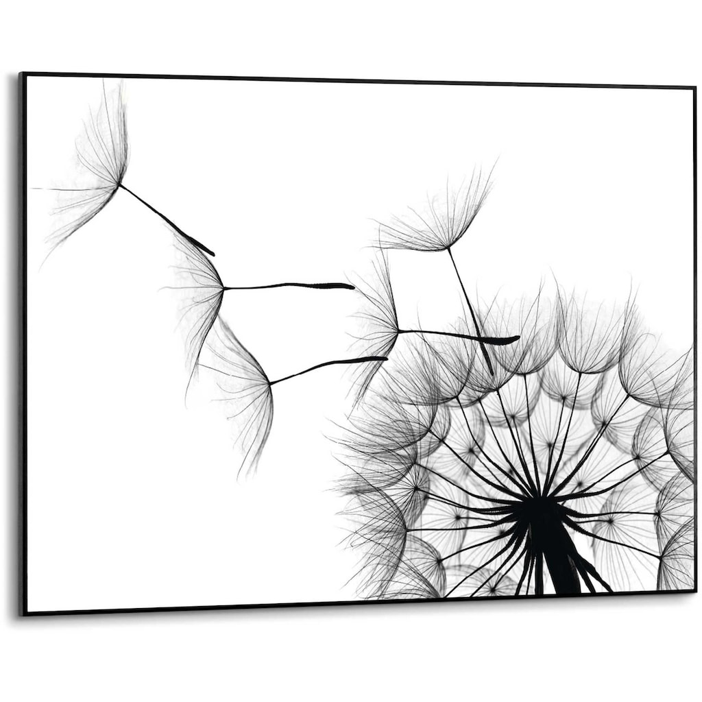 Reinders! Wandbild »Slim Frame Black 50x70 Dandelion«