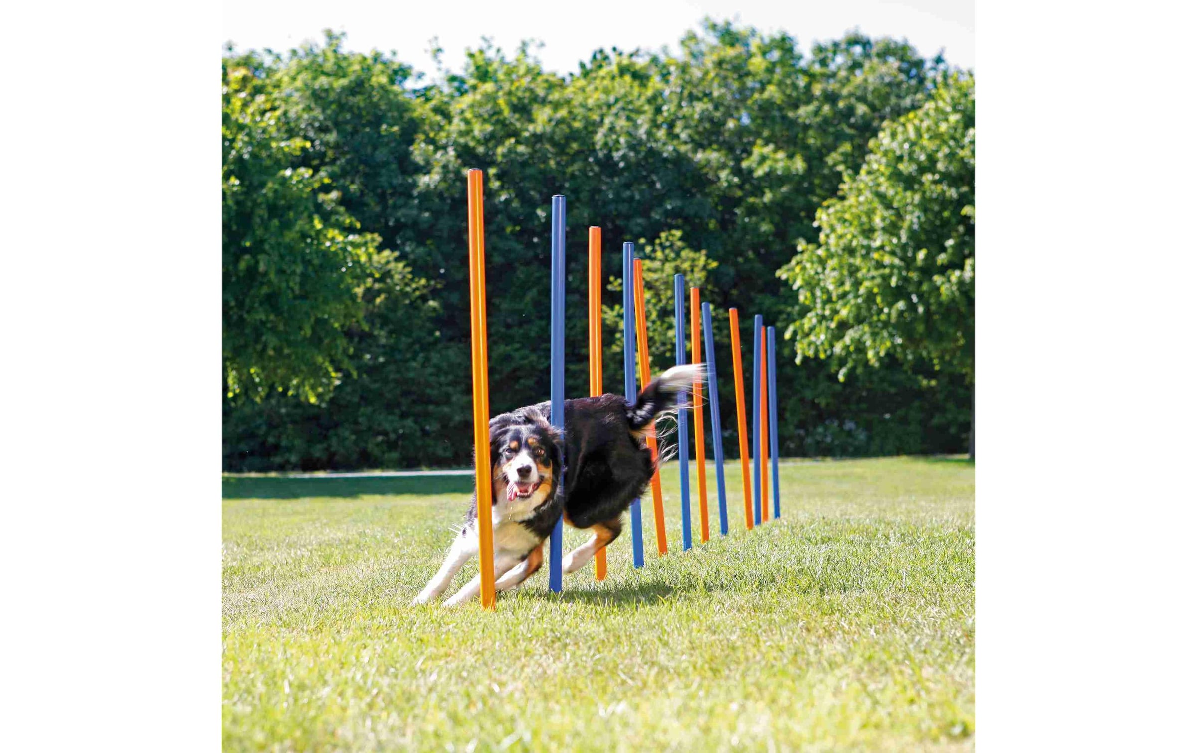 TRIXIE Agility-Slalom »Agility Slalom Dog Activity Set, 12 Stangen«, Kunststoff