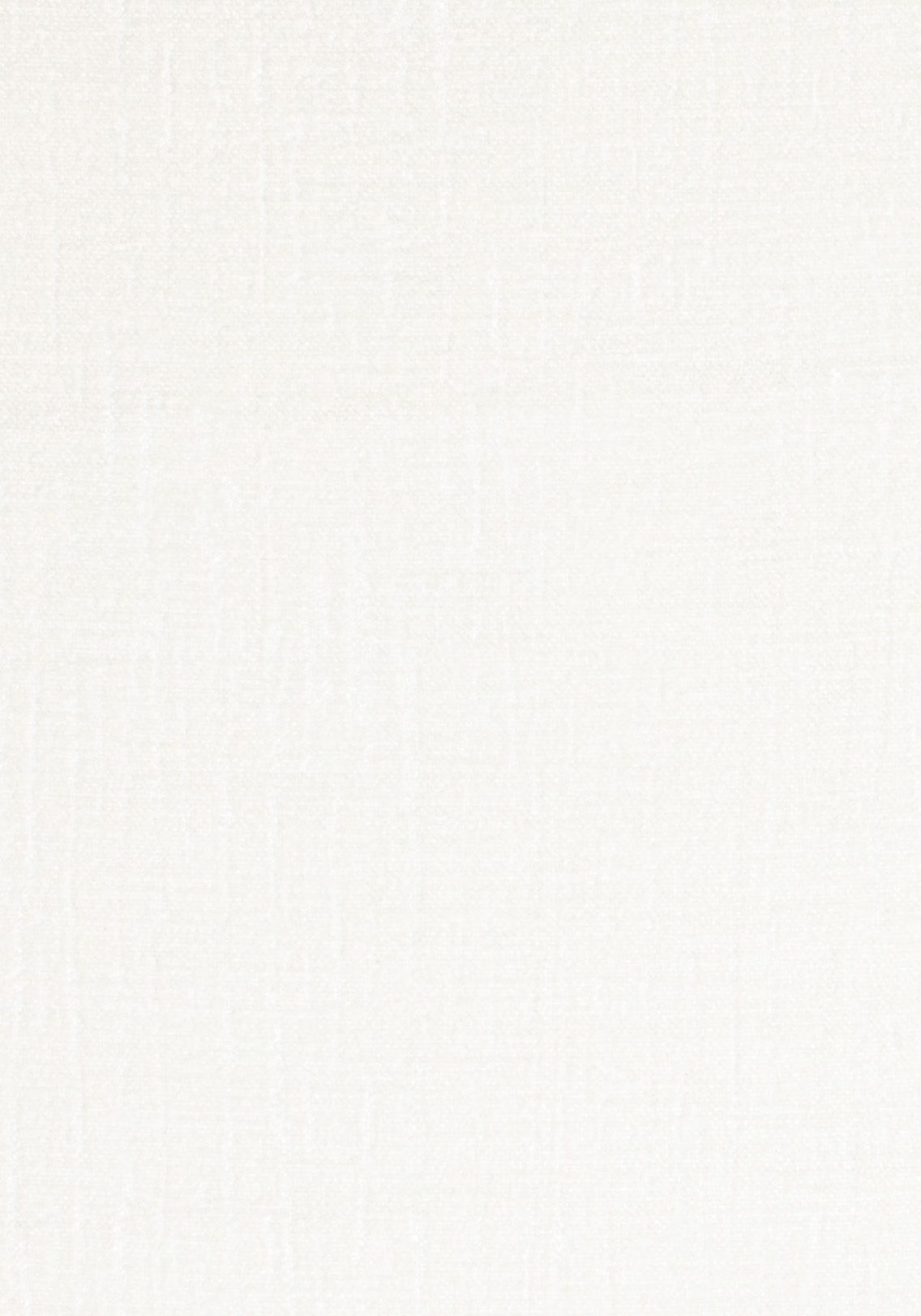 Neutex for you! Vorhang »Inuit«, (1 St.), HxB: 245x145