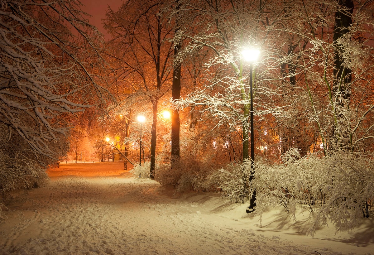 Papermoon Fototapete »Park im Winter«