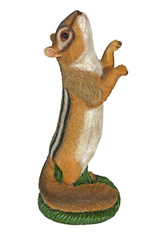 Casa Collection by Jänig Tierfigur »Grosses Streifenhörnchen« kaufen