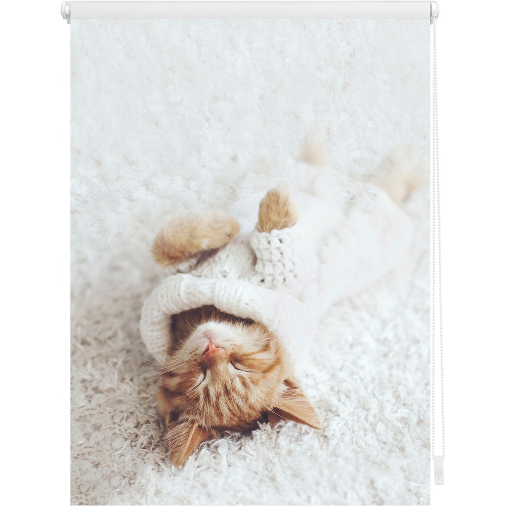 LICHTBLICK ORIGINAL Seitenzugrollo »Klemmfix Digital Sleepy Cat«, verdunkelnd, energiesparend, ohne Bohren, freihängend
