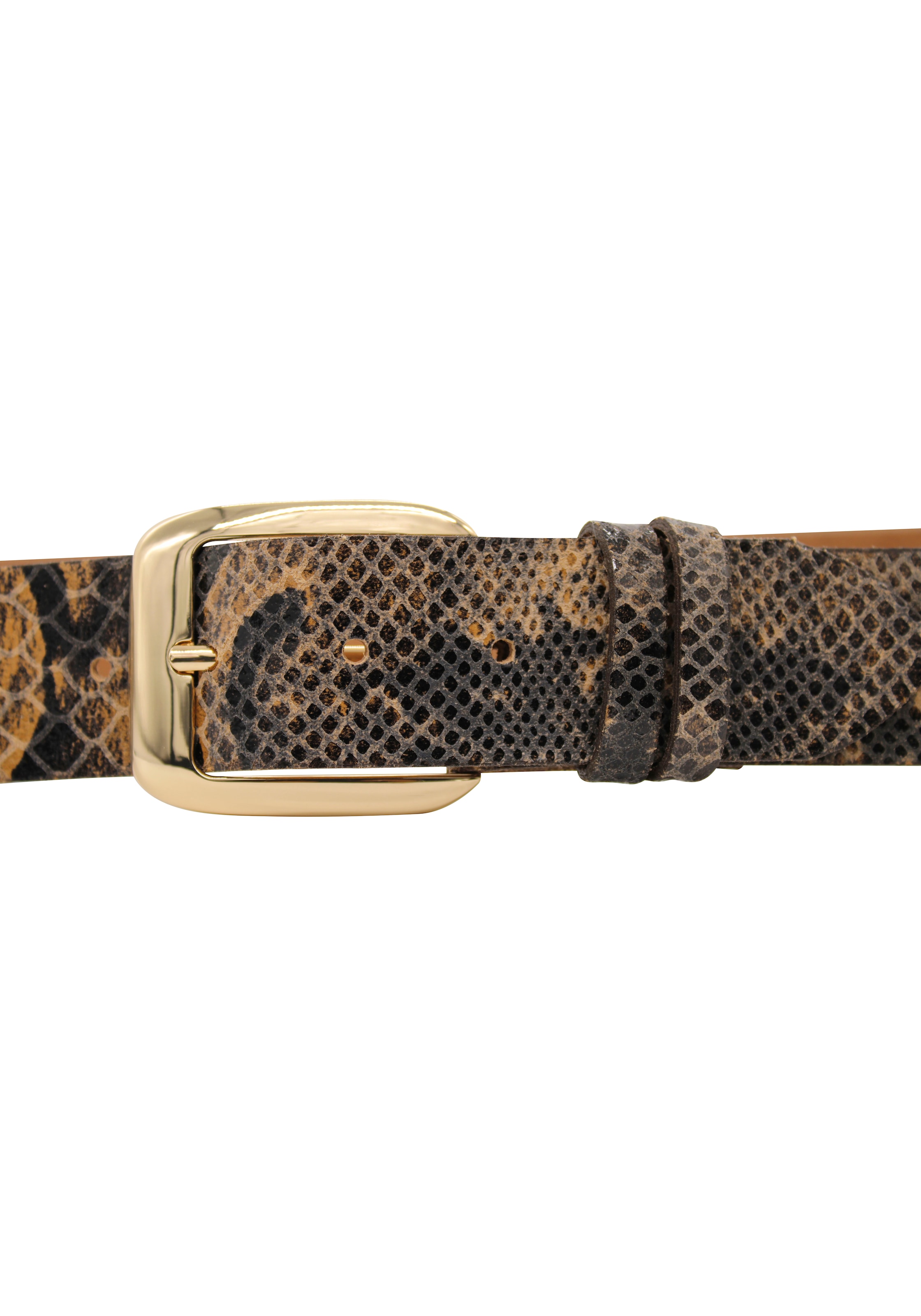 Jelmoli-Versand online im Schlangen-Design AnnaMatoni kaufen Schweiz Ledergürtel, bei