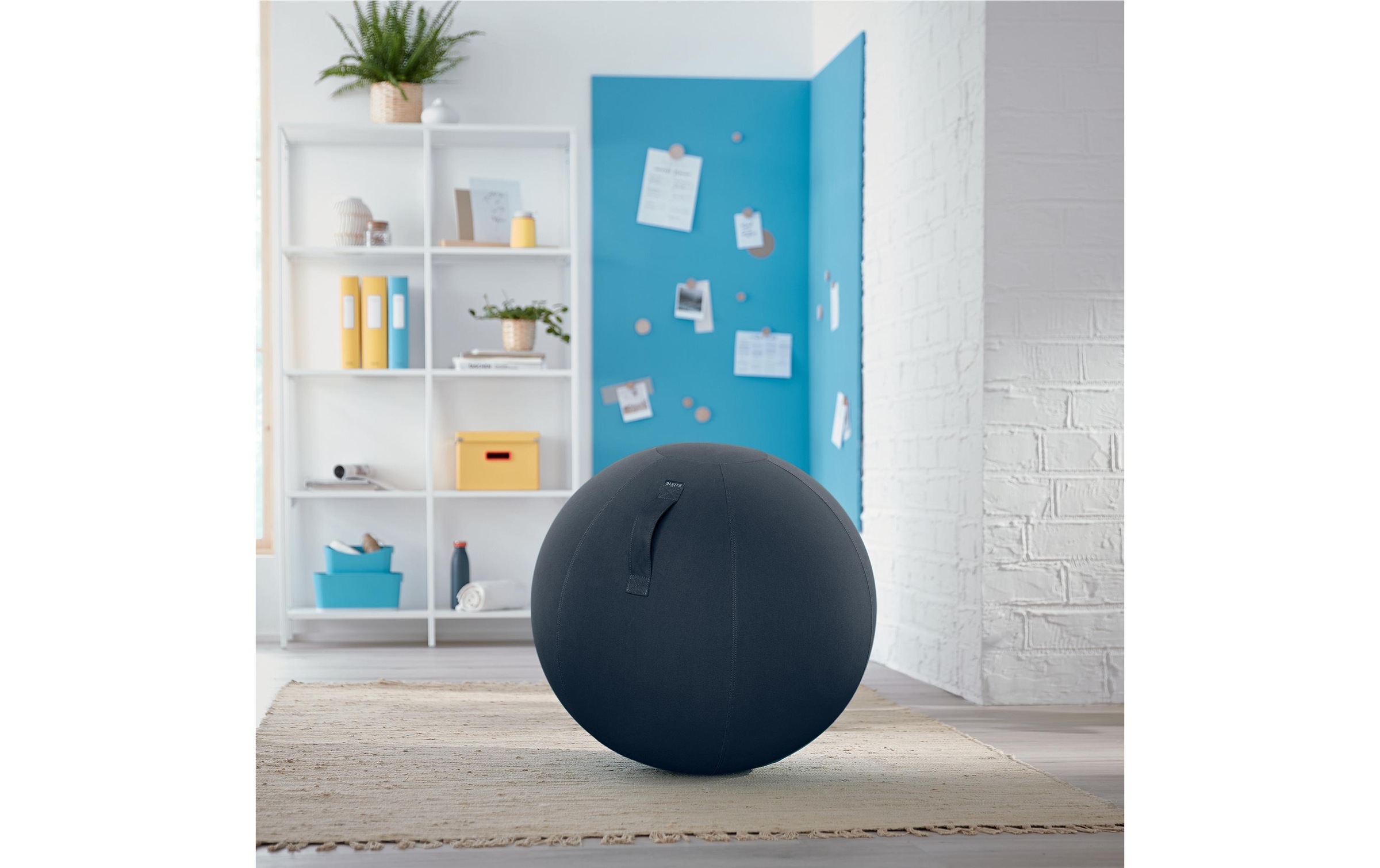 LEITZ Sitzball »Ergo Cosy«