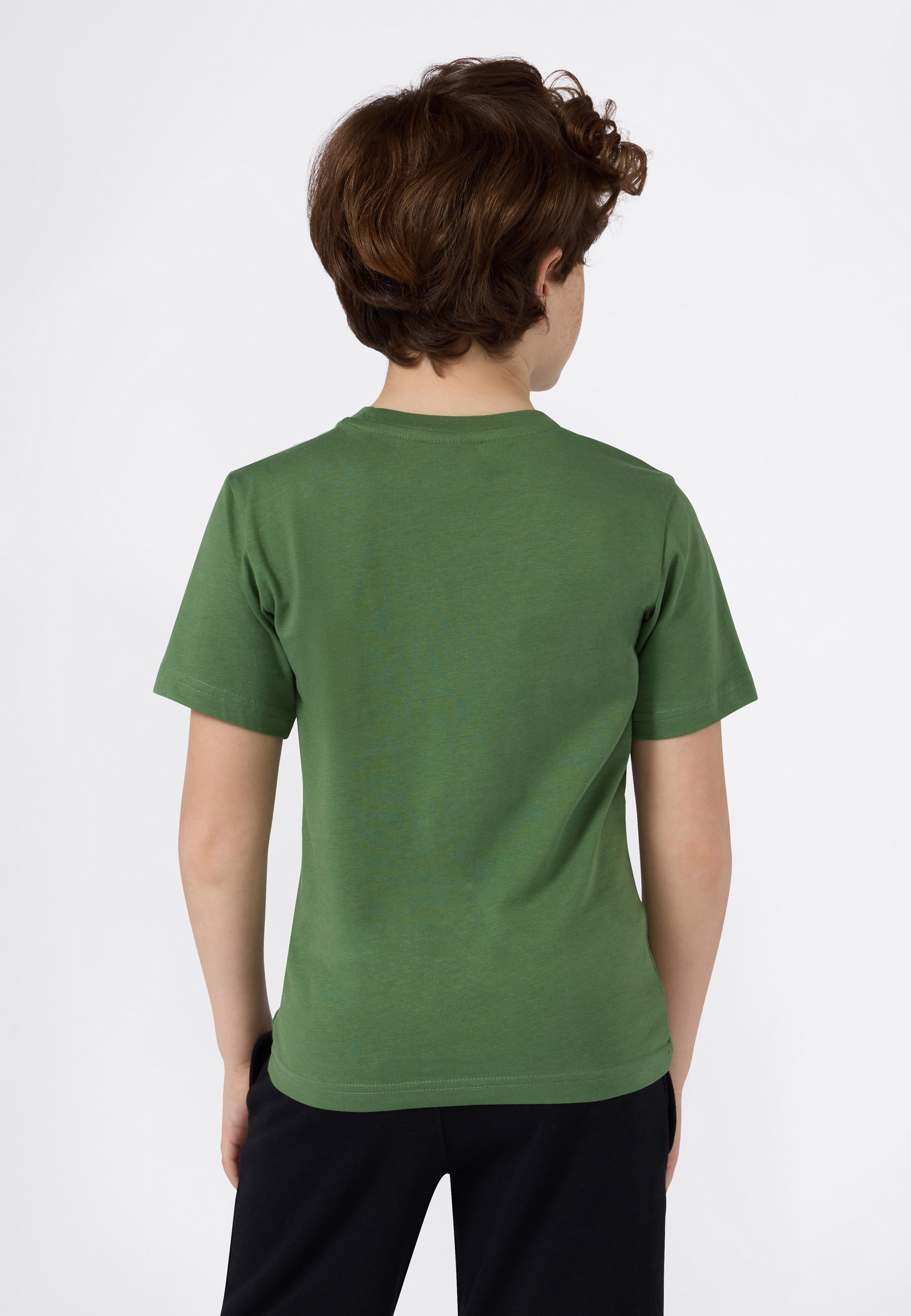 Champion T-Shirt »BASICS Crewneck T-Shirt«, (1 tlg.)
